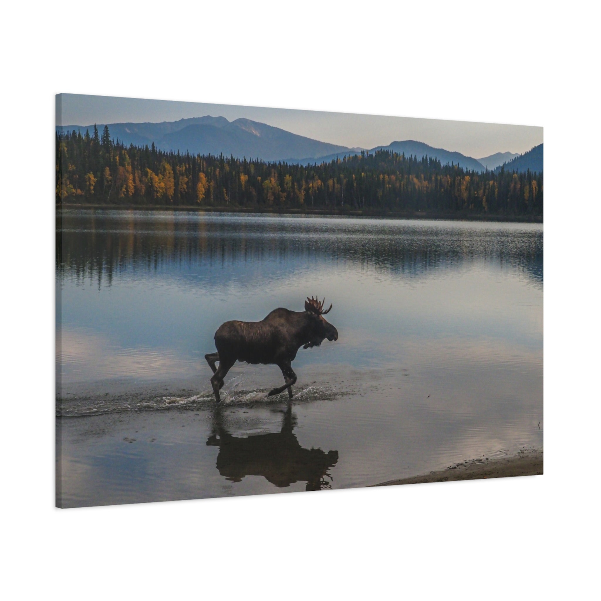 canvas-art-print-rustic-moose-wall-decor-cabin-lodge-wildlife-painting-nature-home-decor-wilderness-animal-poster-farmhouse-w