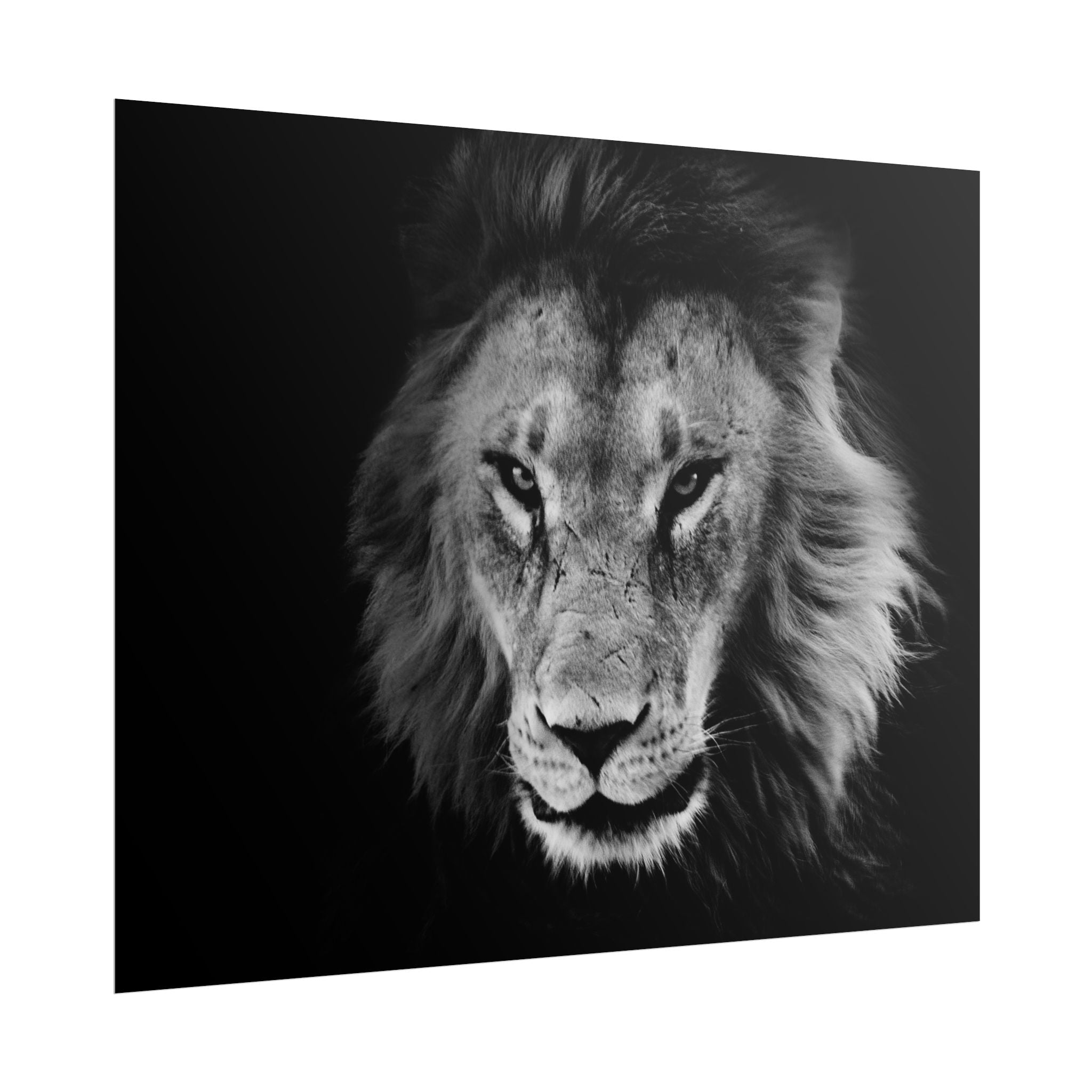 poster-print-lion-wall-art-black-and-white-living-room-decor-monochrome-art-lion-poster-jungle-animal-art-print-wildlife-safa
