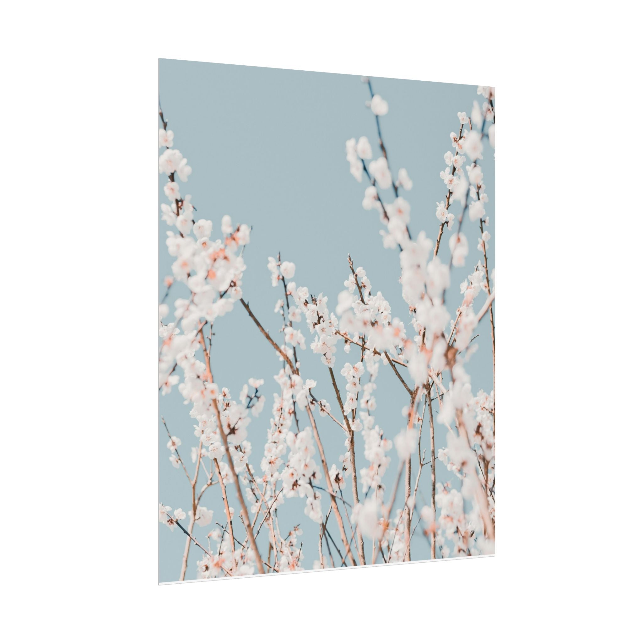 blossom-flowers-poster-print-minimalist-aesthetic-wall-art-fine-art-paper-home-decor-floral-decor-elegant-artwork