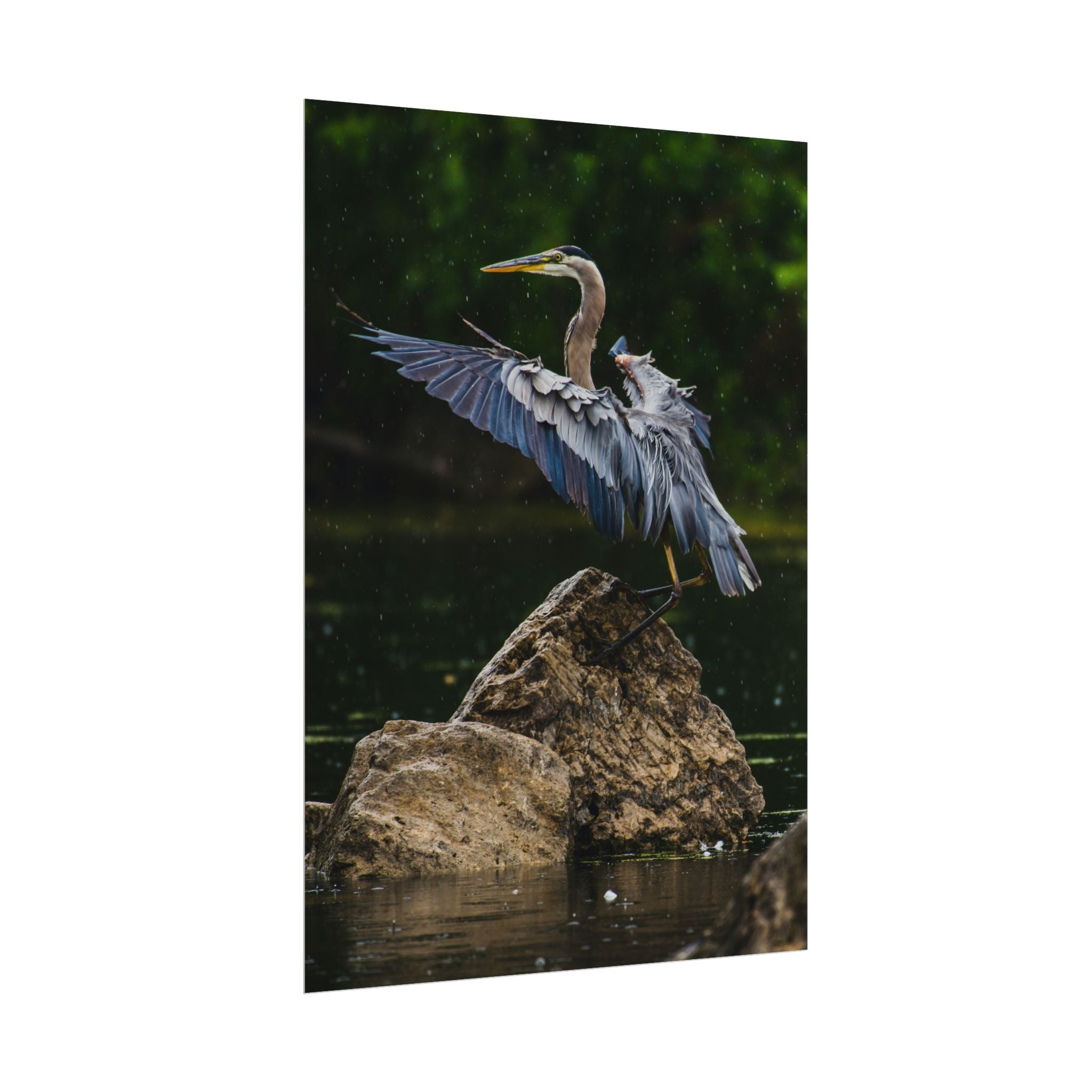great-blue-heron-poster-wall-art-home-decor-bird-lover-gift-nature-wall-hanging-wildlife-poster