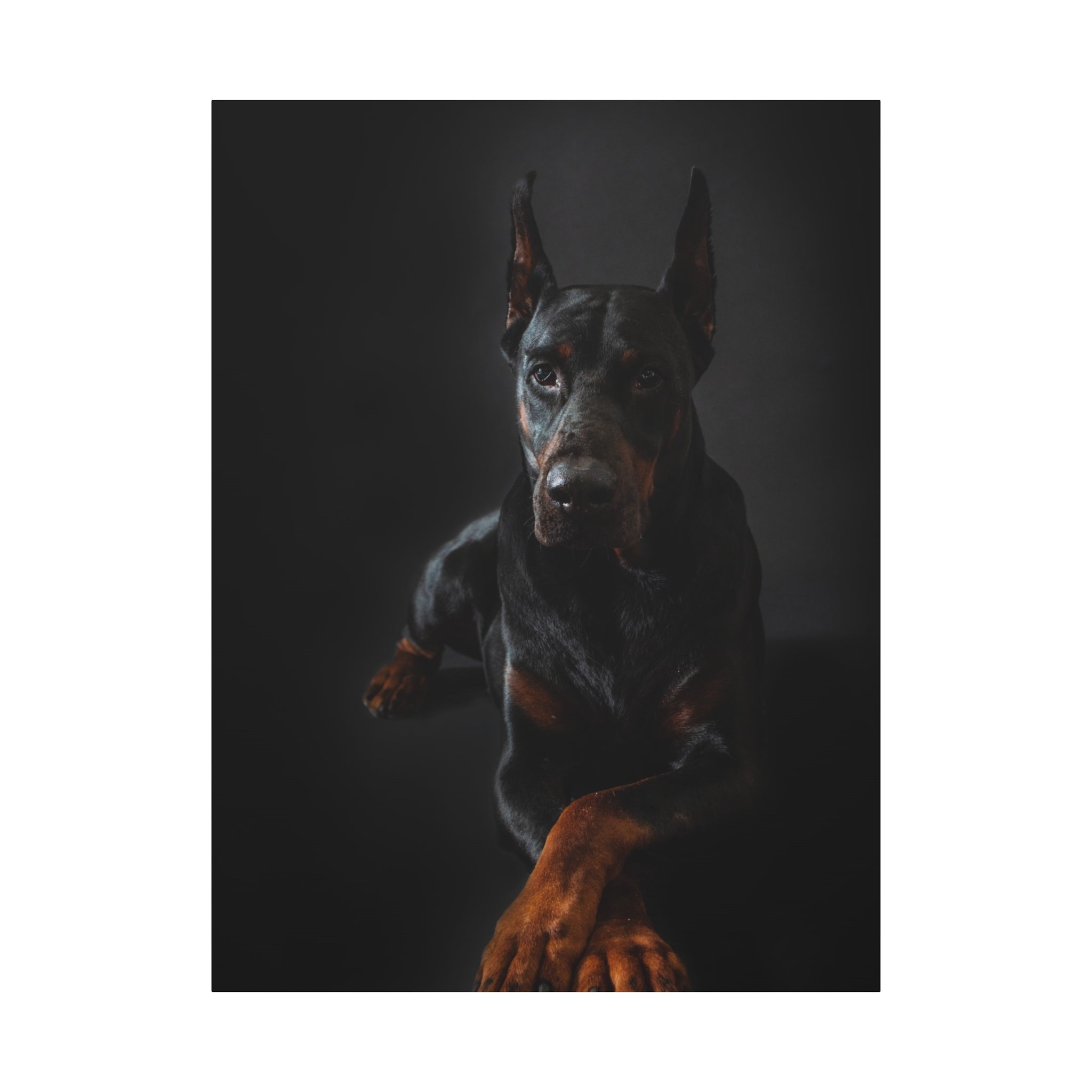 canvas-print-doberman-dog-wall-art-home-decor-office-decor-stretched-matte-canvas-1-25-gift-for-dog-lovers-animal-artwork-pet