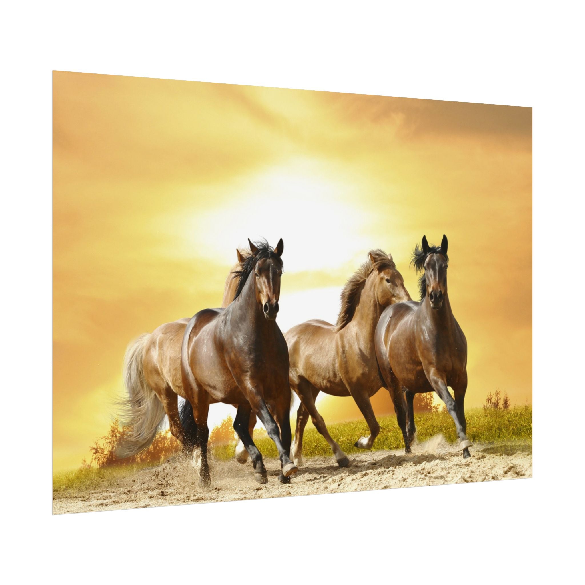 running-horse-poster-wall-art-farmhouse-wall-decor-home-decor-housewarming-gift-horse-print-wall-print-wild-animals