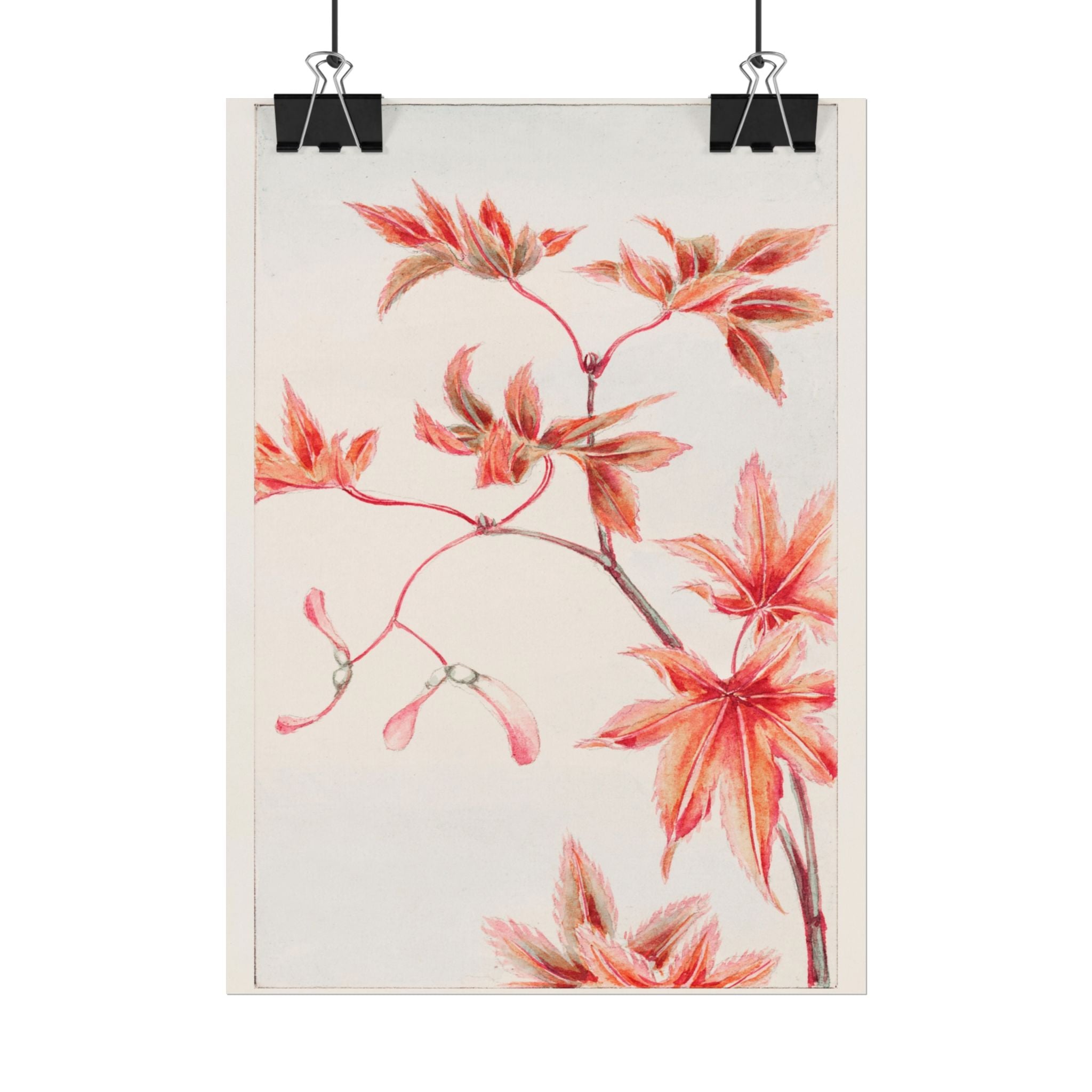 poster-print-branch-of-momiji-maple-tree-with-leaves-floral-wall-art-rolled-posters-wall-decor-room-decoration-nature-art-bot