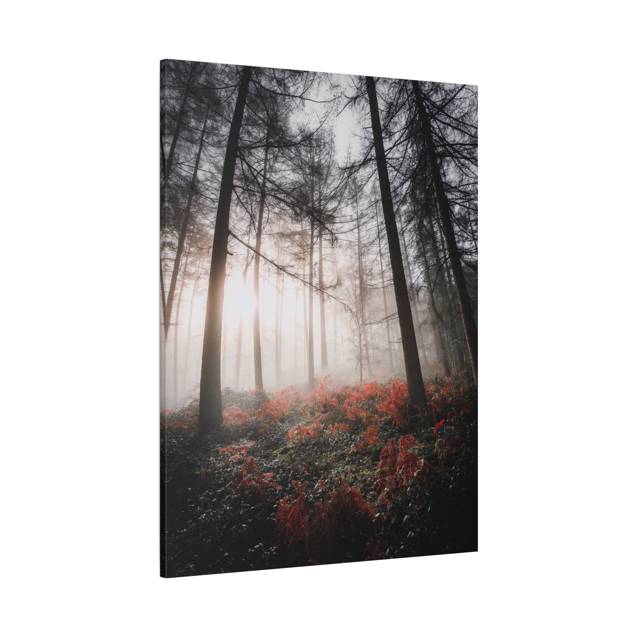 canvas-print-misty-woods-art-living-room-wall-decor-sunlight-forest-landscape-aesthetic-nature-art-stretched-artwork-matte-ca