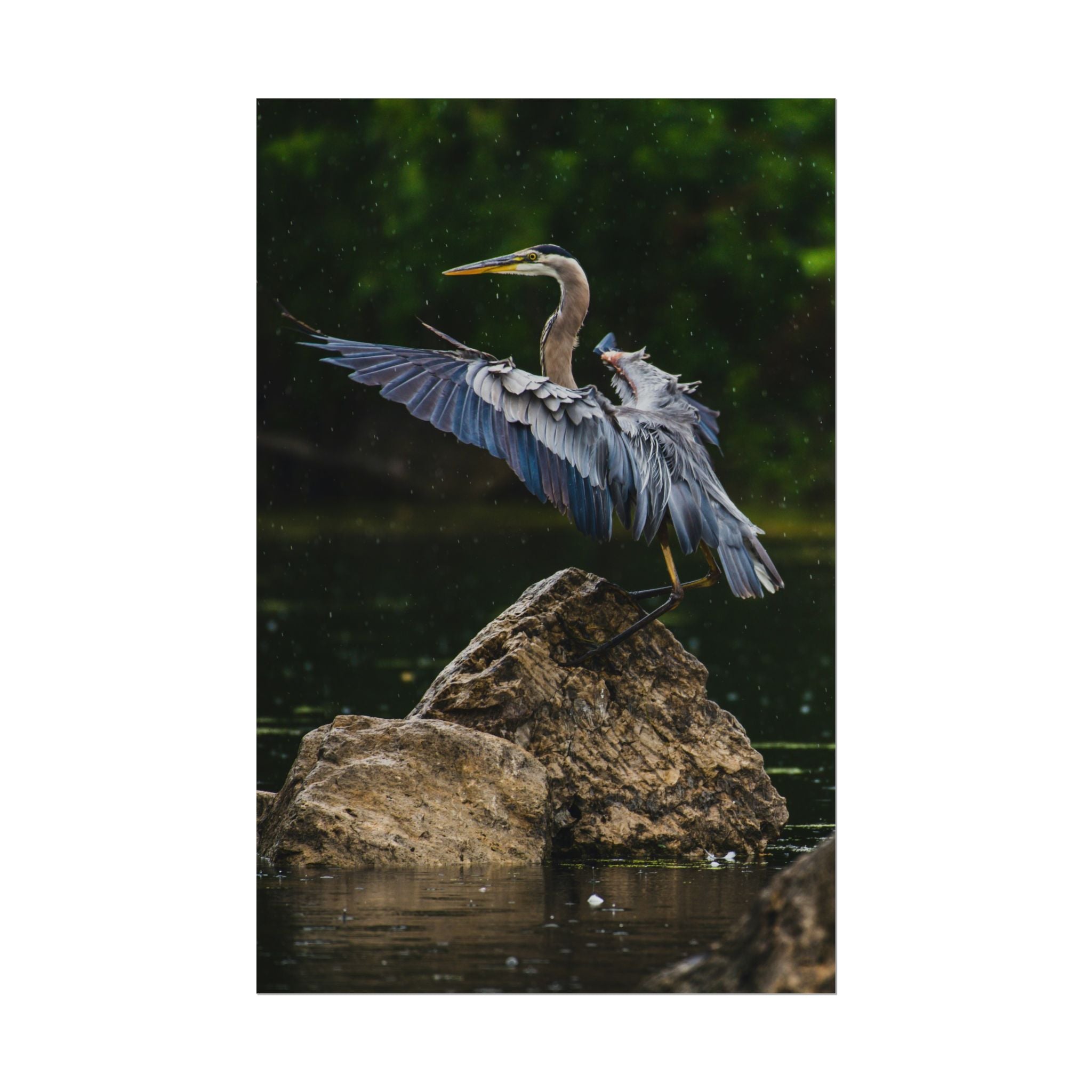 great-blue-heron-poster-wall-art-home-decor-bird-lover-gift-nature-wall-hanging-wildlife-poster
