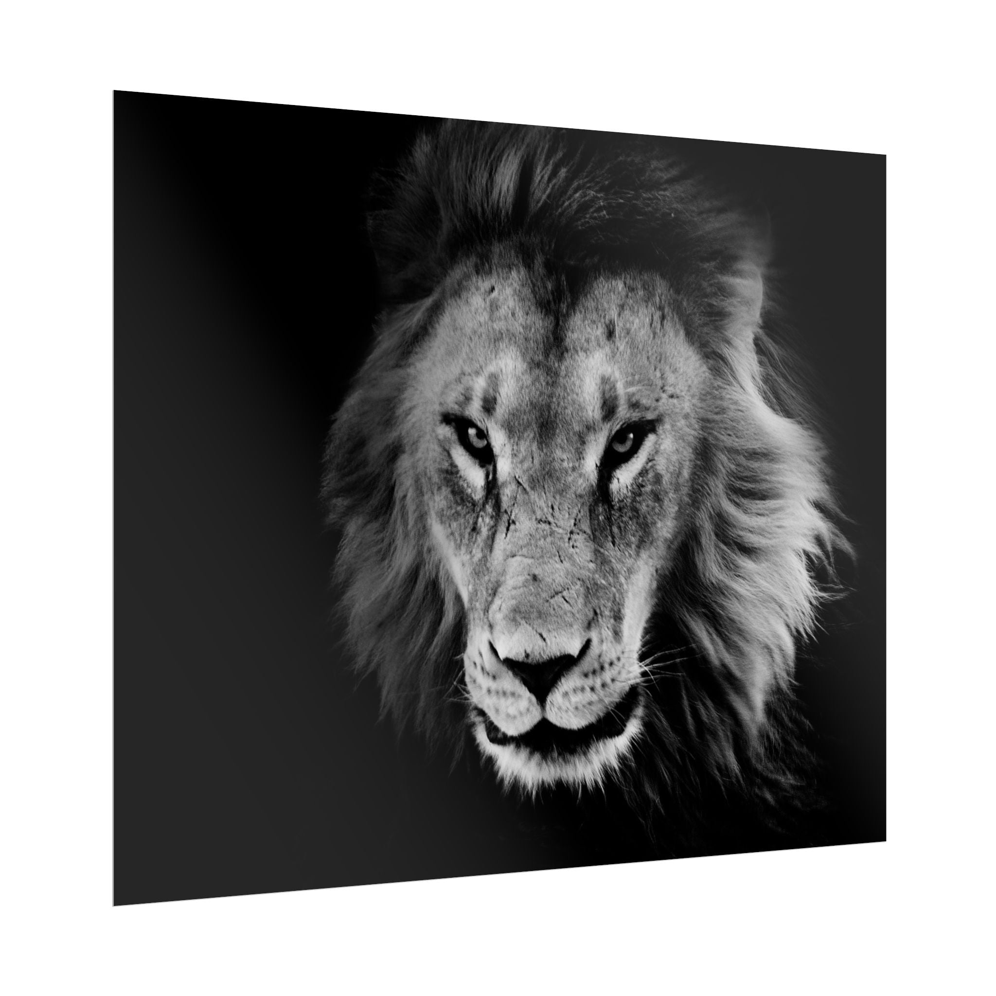 poster-print-lion-wall-art-black-and-white-living-room-decor-monochrome-art-lion-poster-jungle-animal-art-print-wildlife-safa