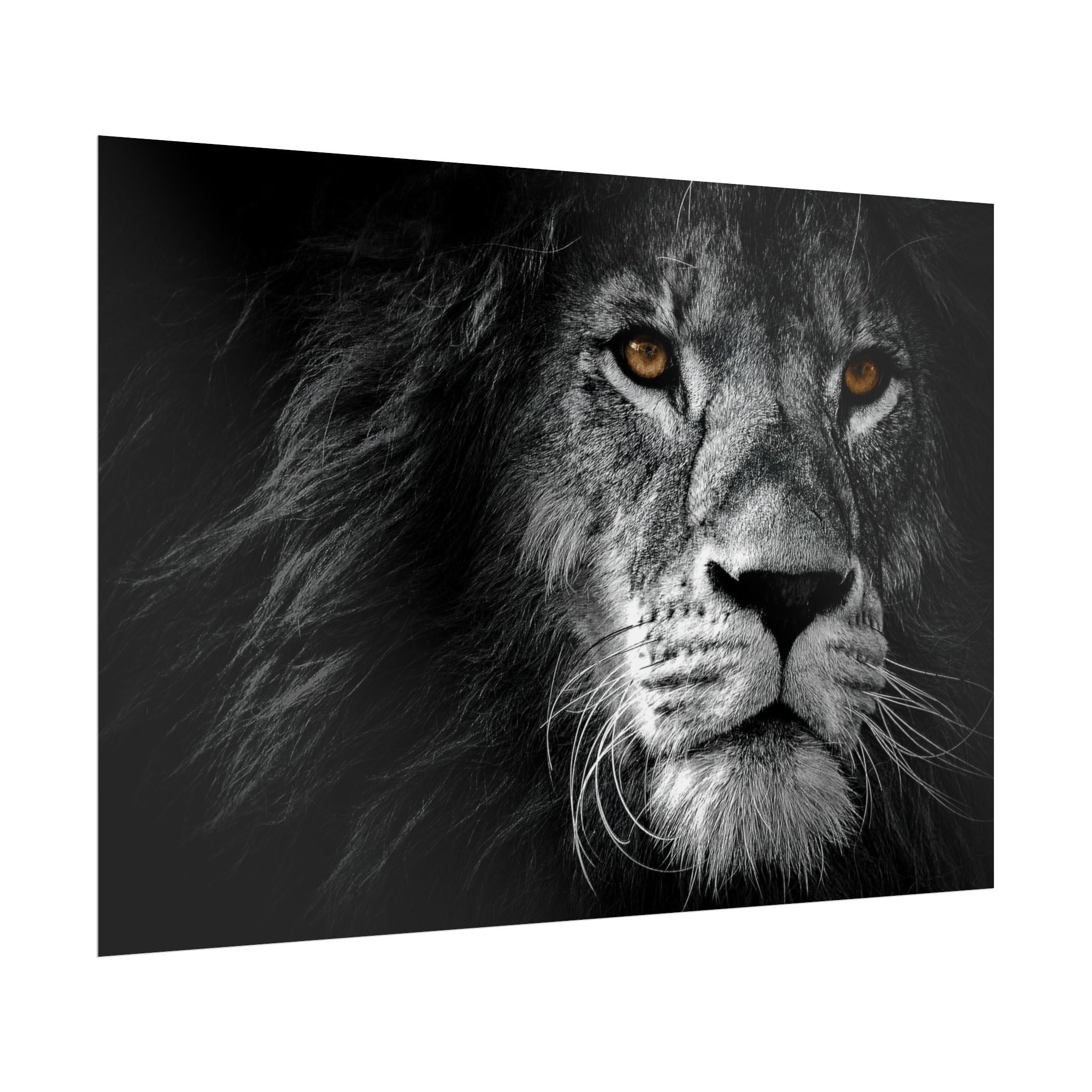 poster-print-lion-wall-art-black-and-white-monochrome-decor-living-room-decor-lion-poster-jungle-animal-art-print-wildlife-sa