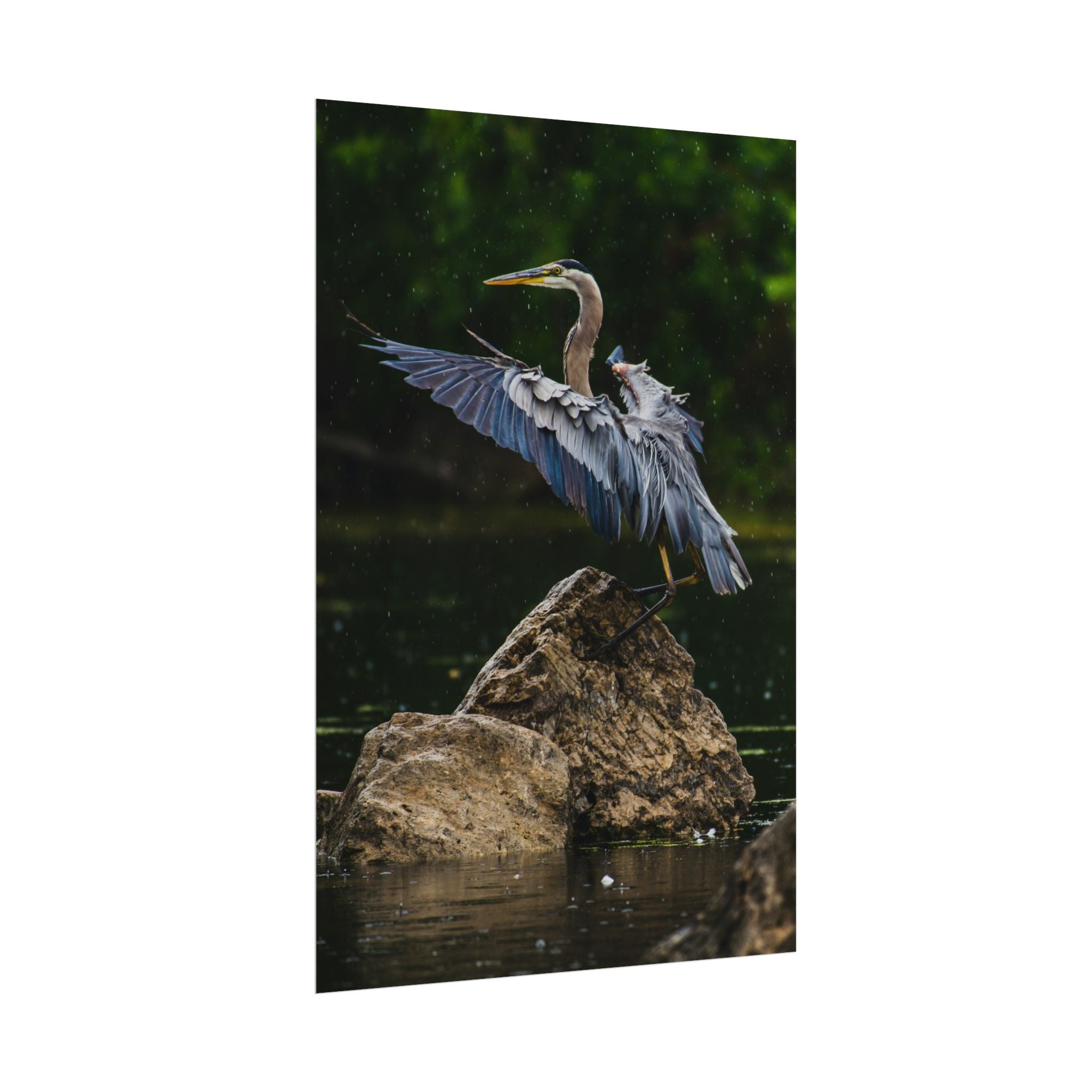 great-blue-heron-poster-wall-art-home-decor-bird-lover-gift-nature-wall-hanging-wildlife-poster