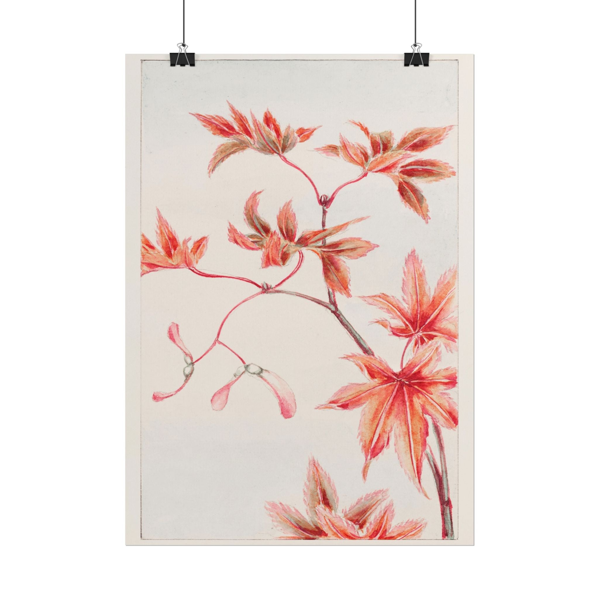 poster-print-branch-of-momiji-maple-tree-with-leaves-floral-wall-art-rolled-posters-wall-decor-room-decoration-nature-art-bot