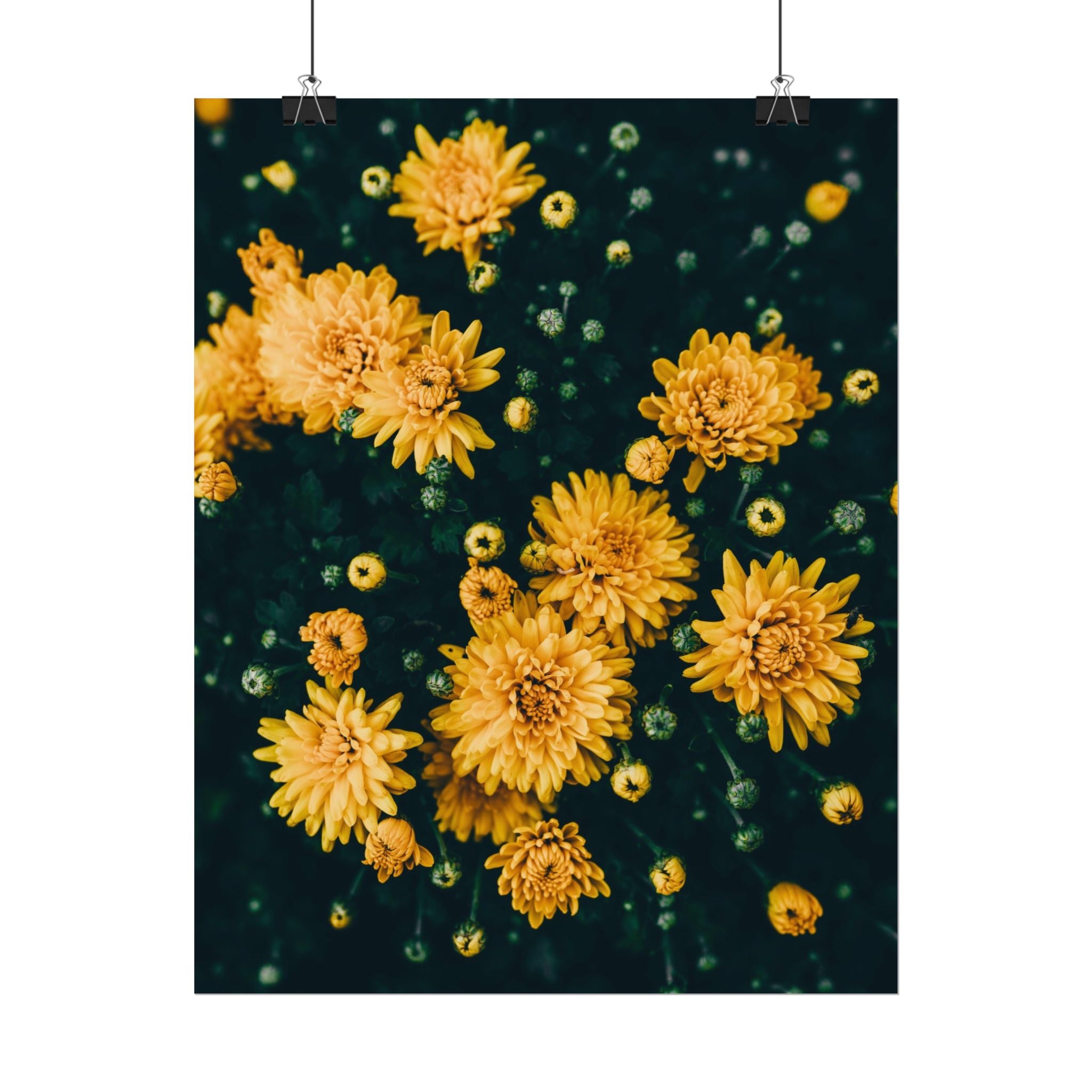 yellow-flower-art-poster-print-floral-wall-decor-floral-home-decor-gift-dark-botanical-art-print