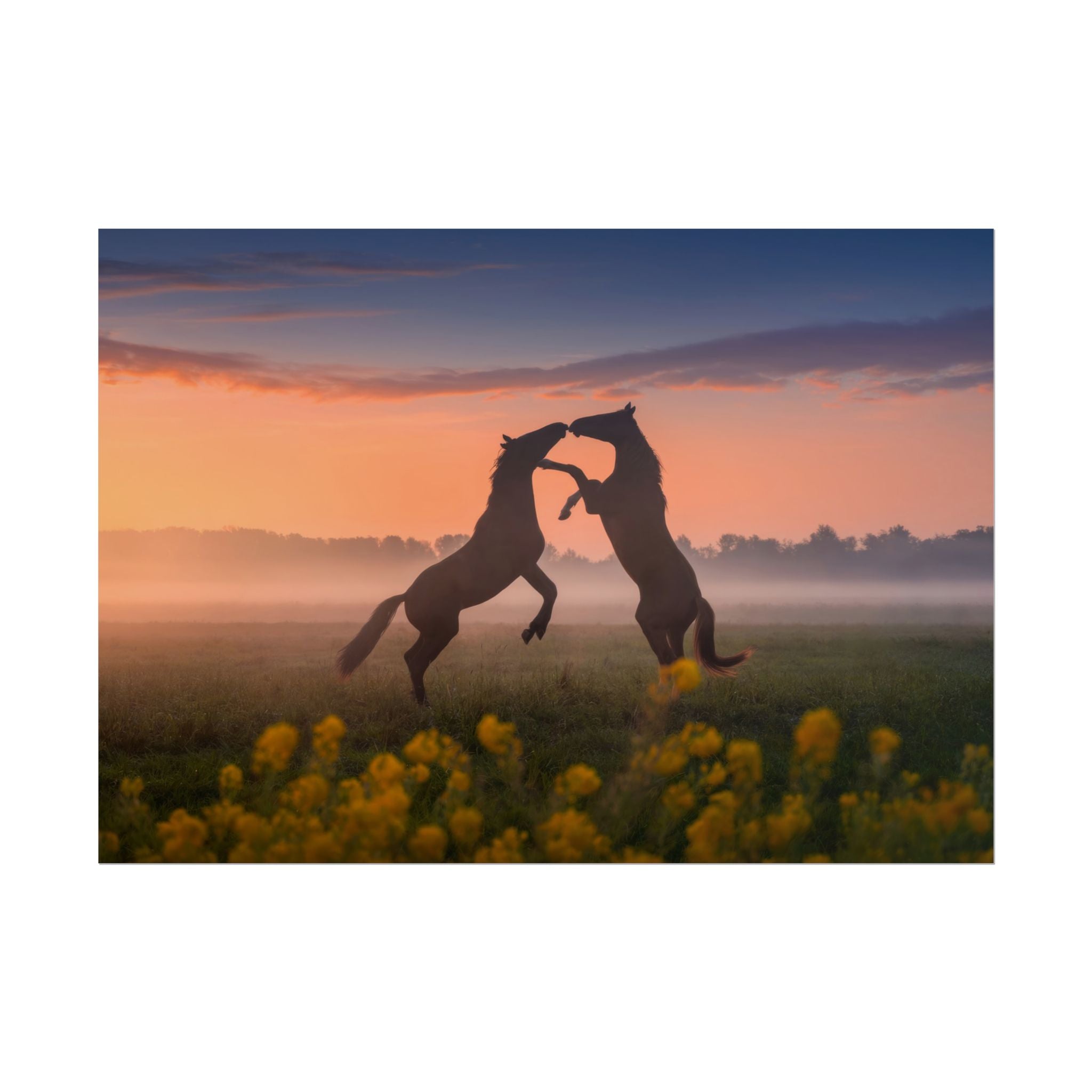 Wild Rising Horses Poster Print, Field of Flowers Decor, Home Decor, Farmhouse Wall Decor, Nature Wall Art, Horse Canvas Print, Mustang