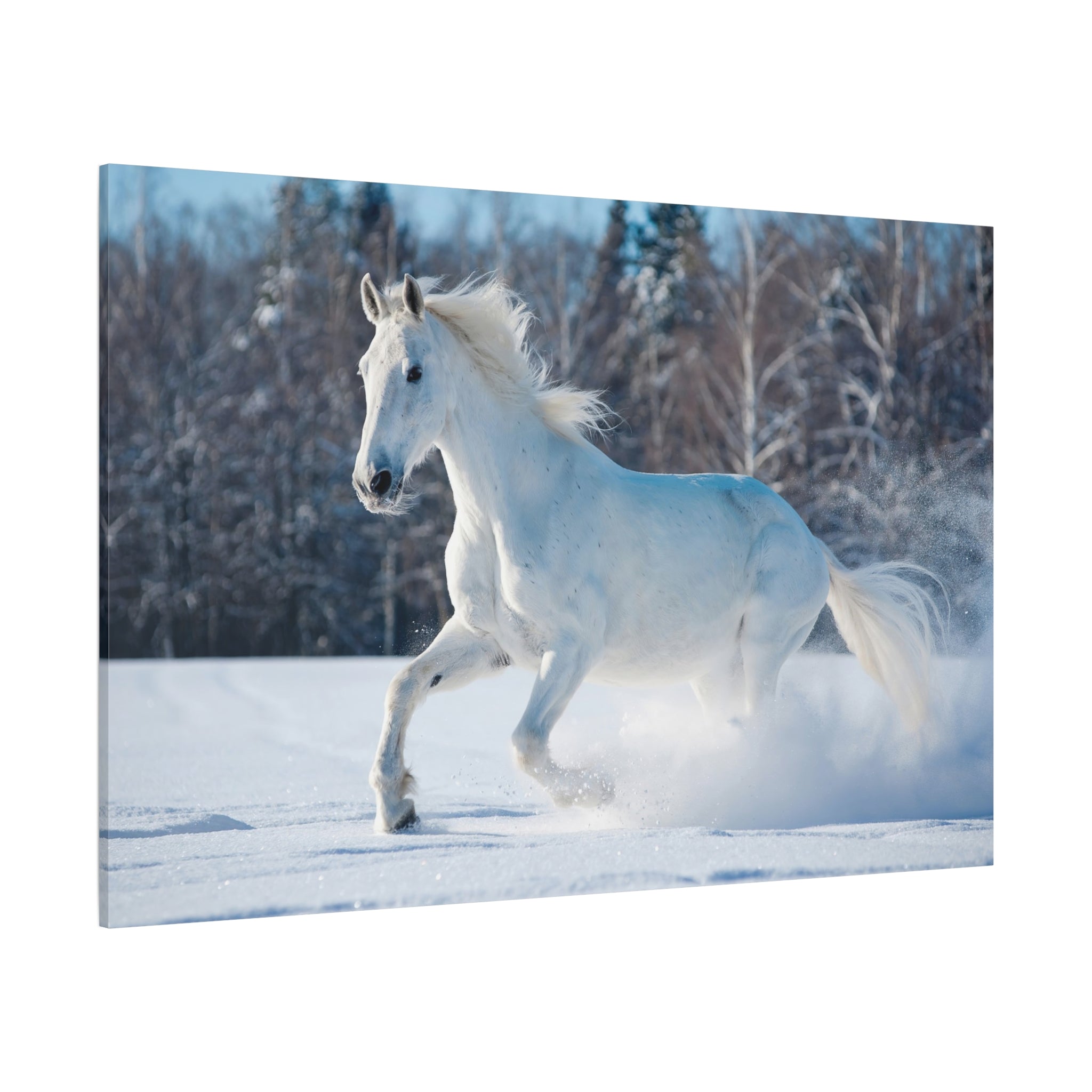 canvas-print-white-horse-winter-wall-art-home-decor-nature-decor-matte-stretched-canvas-alternative-horse-wall-decor-wildlife