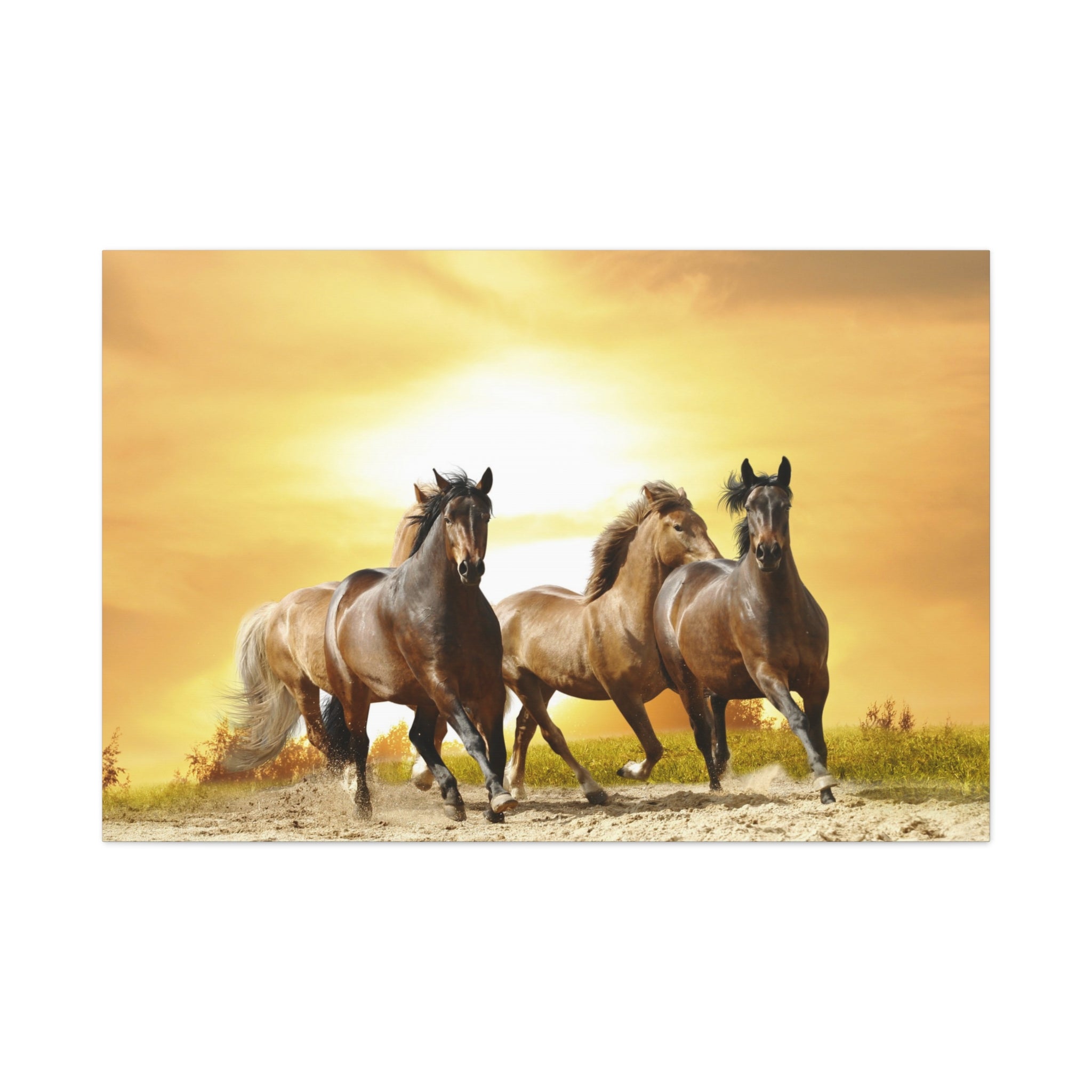 canvas-print-running-horse-wall-art-farmhouse-wall-decor-home-decor-housewarming-gift-horse-print-wall-print