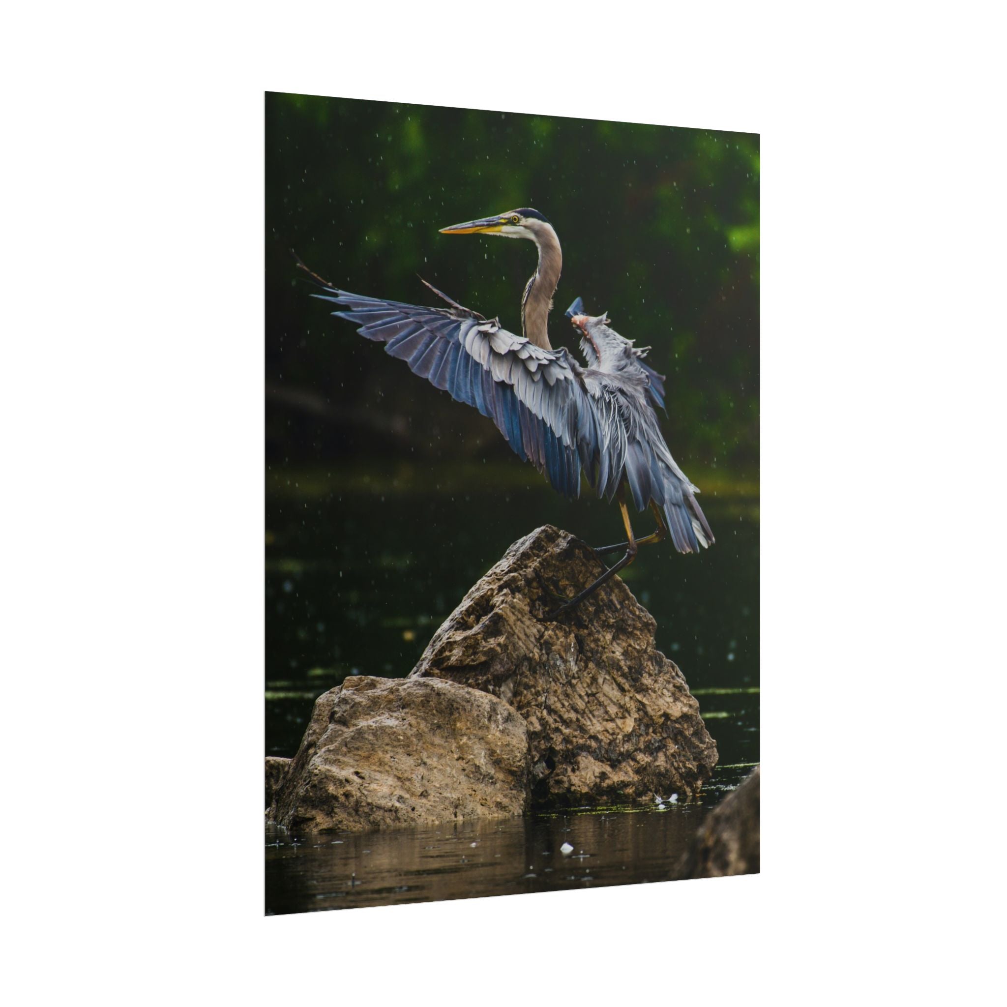 great-blue-heron-poster-wall-art-home-decor-bird-lover-gift-nature-wall-hanging-wildlife-poster