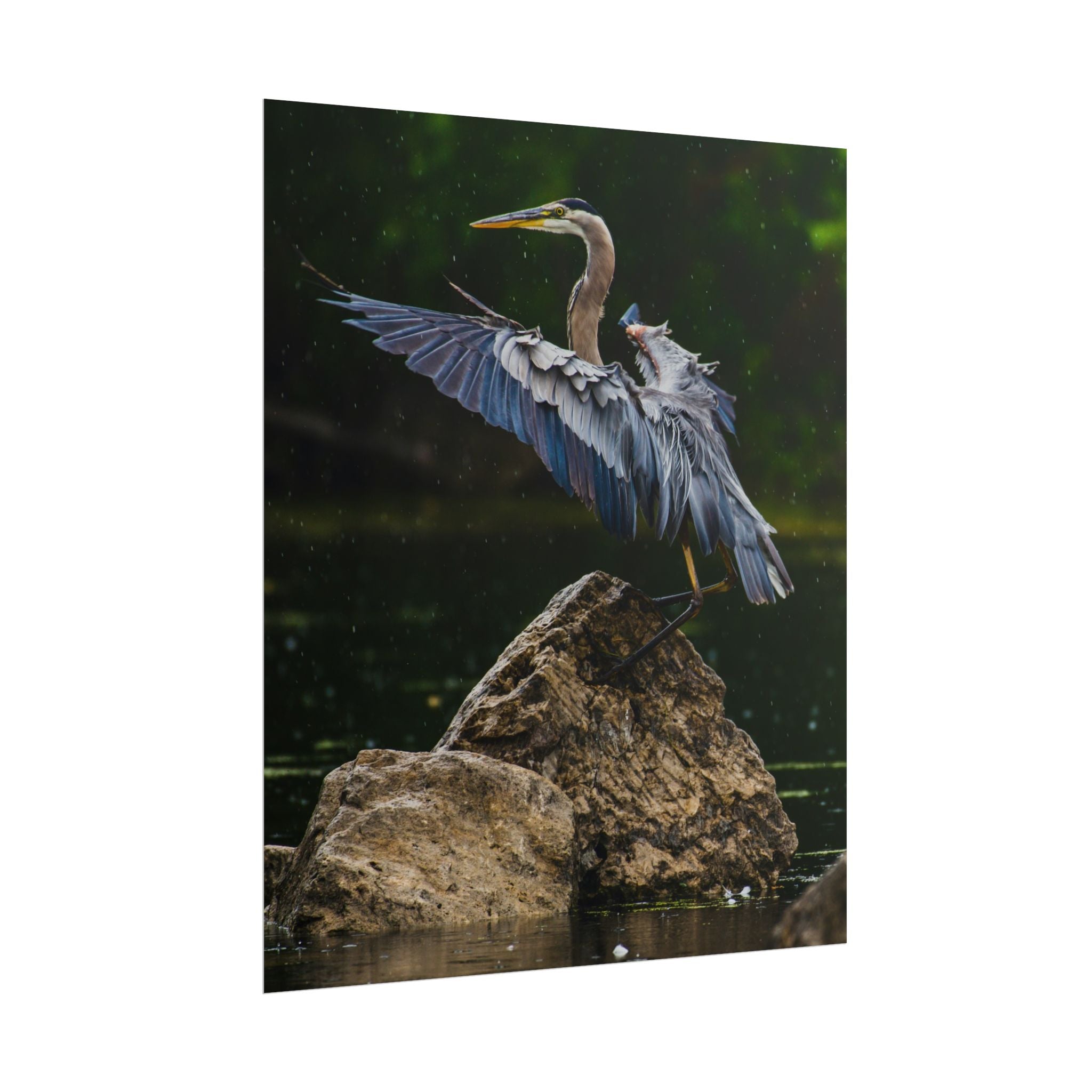 great-blue-heron-poster-wall-art-home-decor-bird-lover-gift-nature-wall-hanging-wildlife-poster