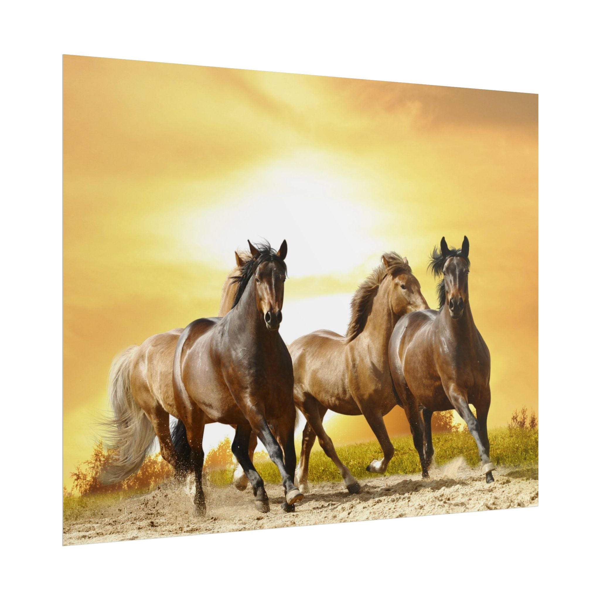 running-horse-poster-wall-art-farmhouse-wall-decor-home-decor-housewarming-gift-horse-print-wall-print-wild-animals