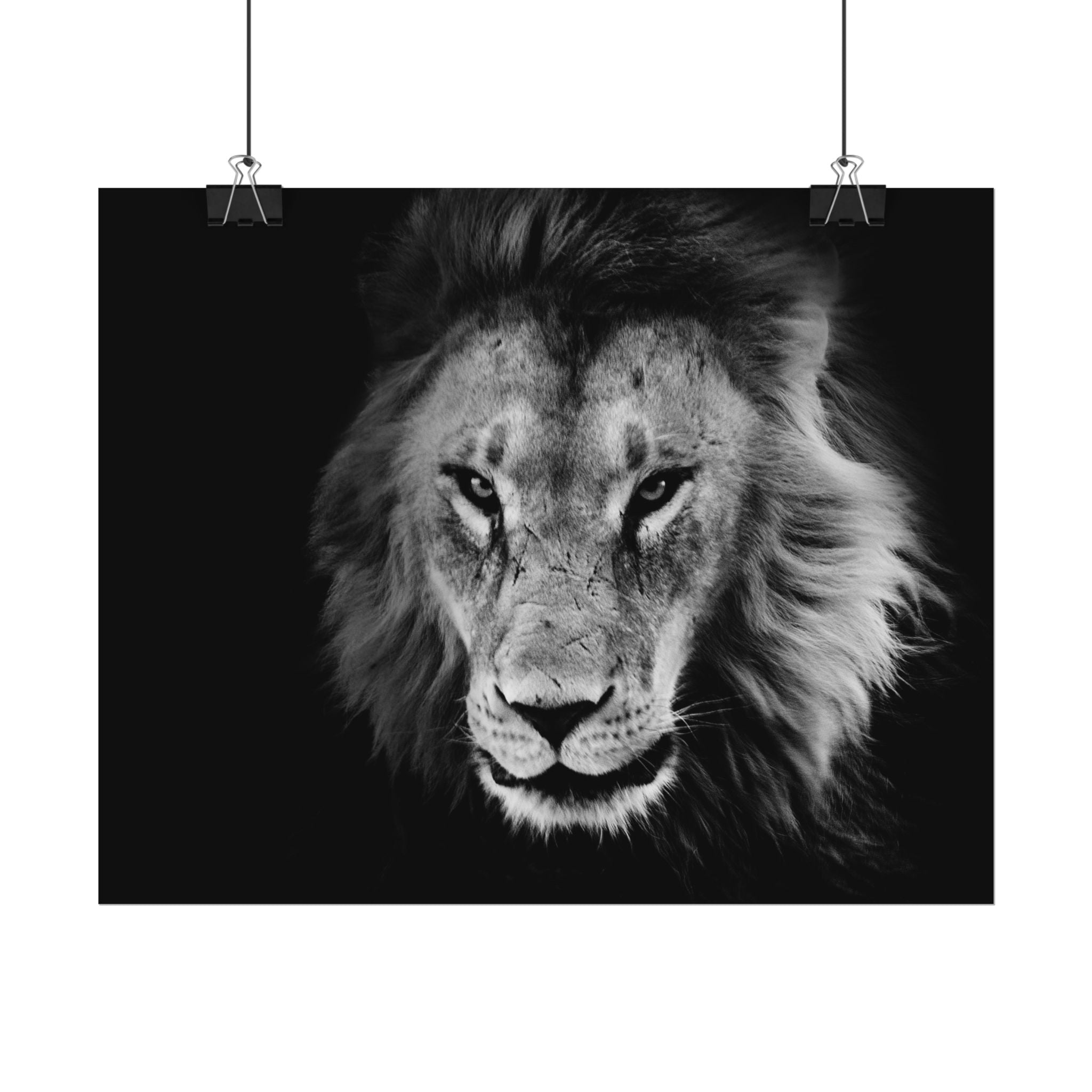 poster-print-lion-wall-art-black-and-white-living-room-decor-monochrome-art-lion-poster-jungle-animal-art-print-wildlife-safa