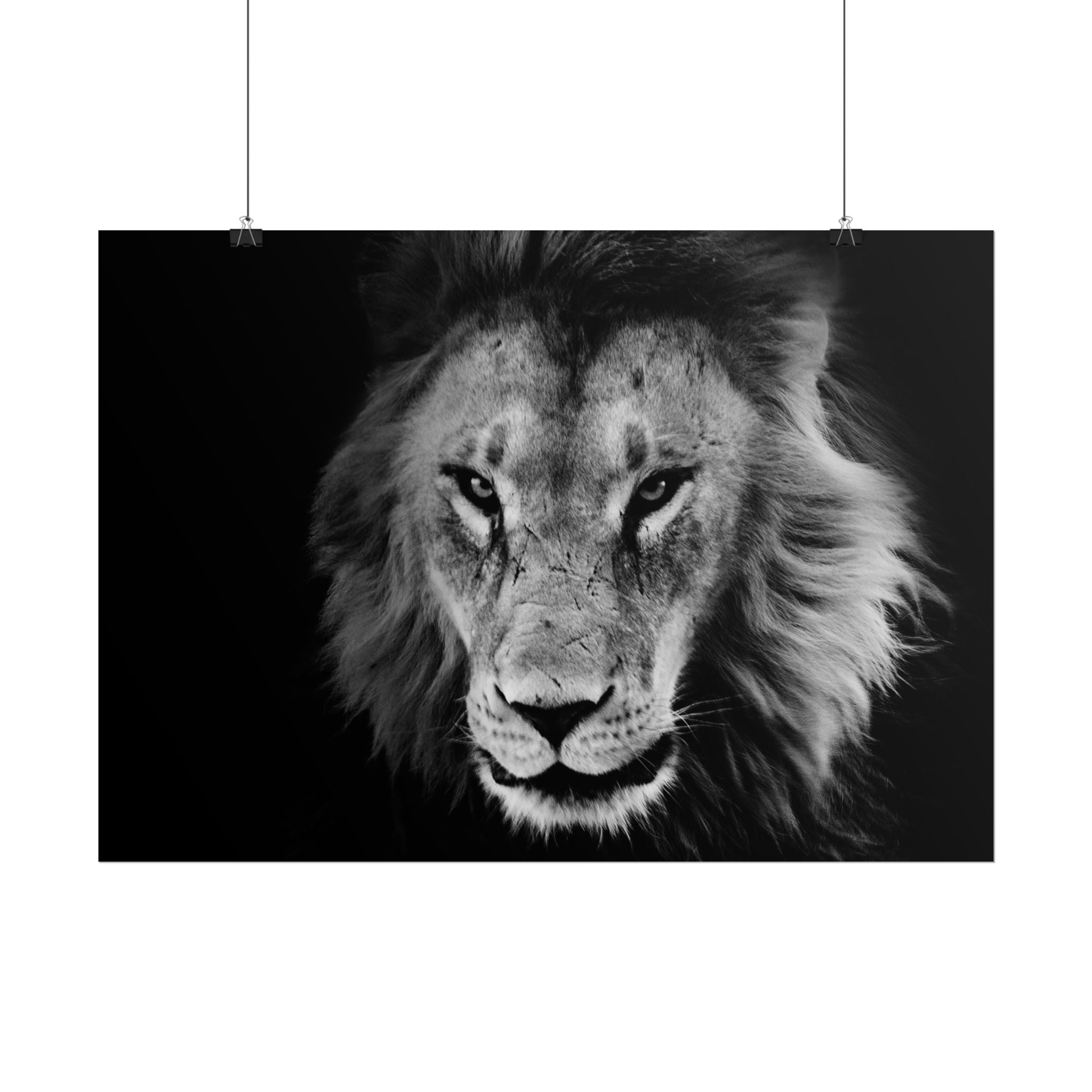 poster-print-lion-wall-art-black-and-white-living-room-decor-monochrome-art-lion-poster-jungle-animal-art-print-wildlife-safa