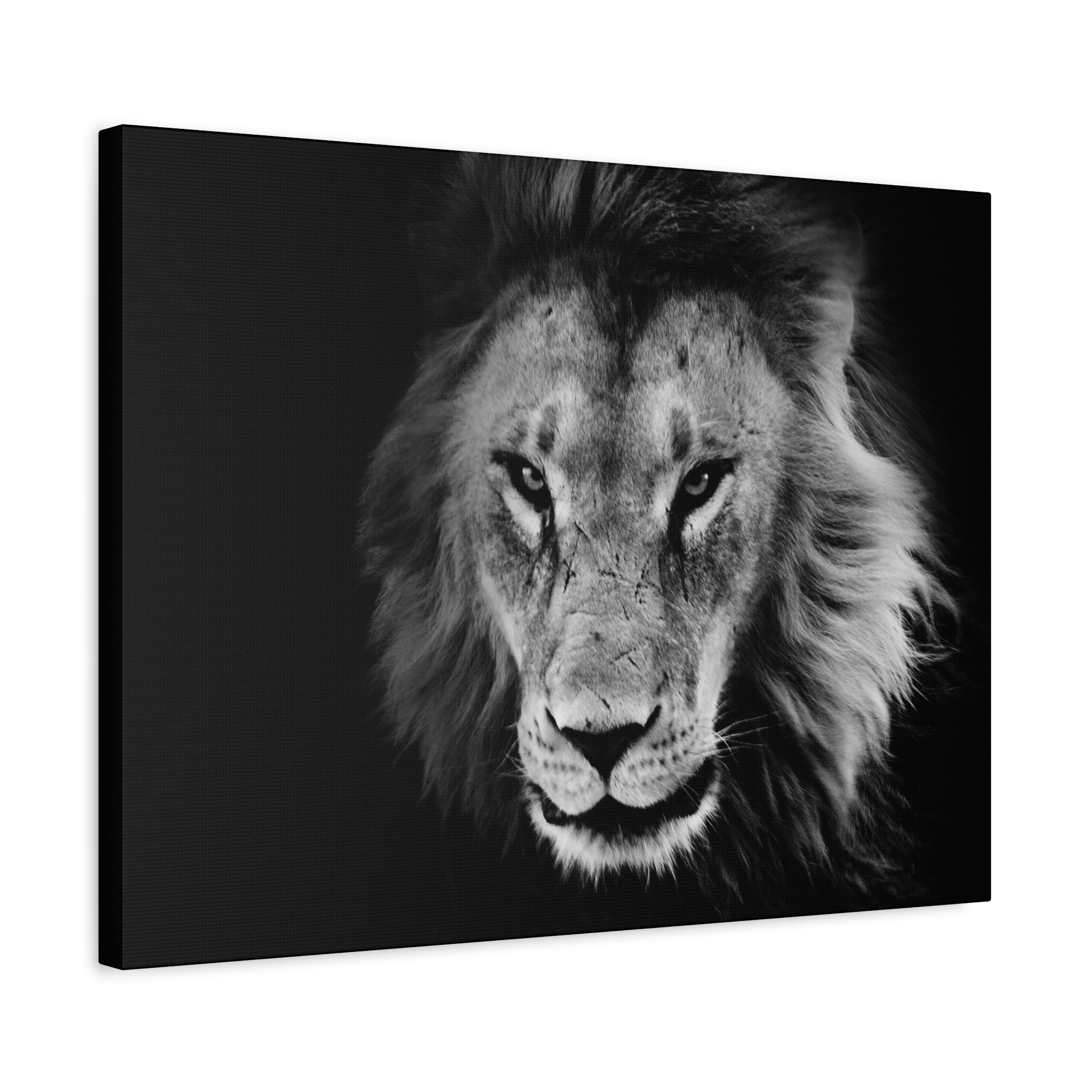 canvas-print-lion-wall-art-black-and-white-living-room-decor-matte-stretched-lion-poster-jungle-animal-art-print-wildlife-saf