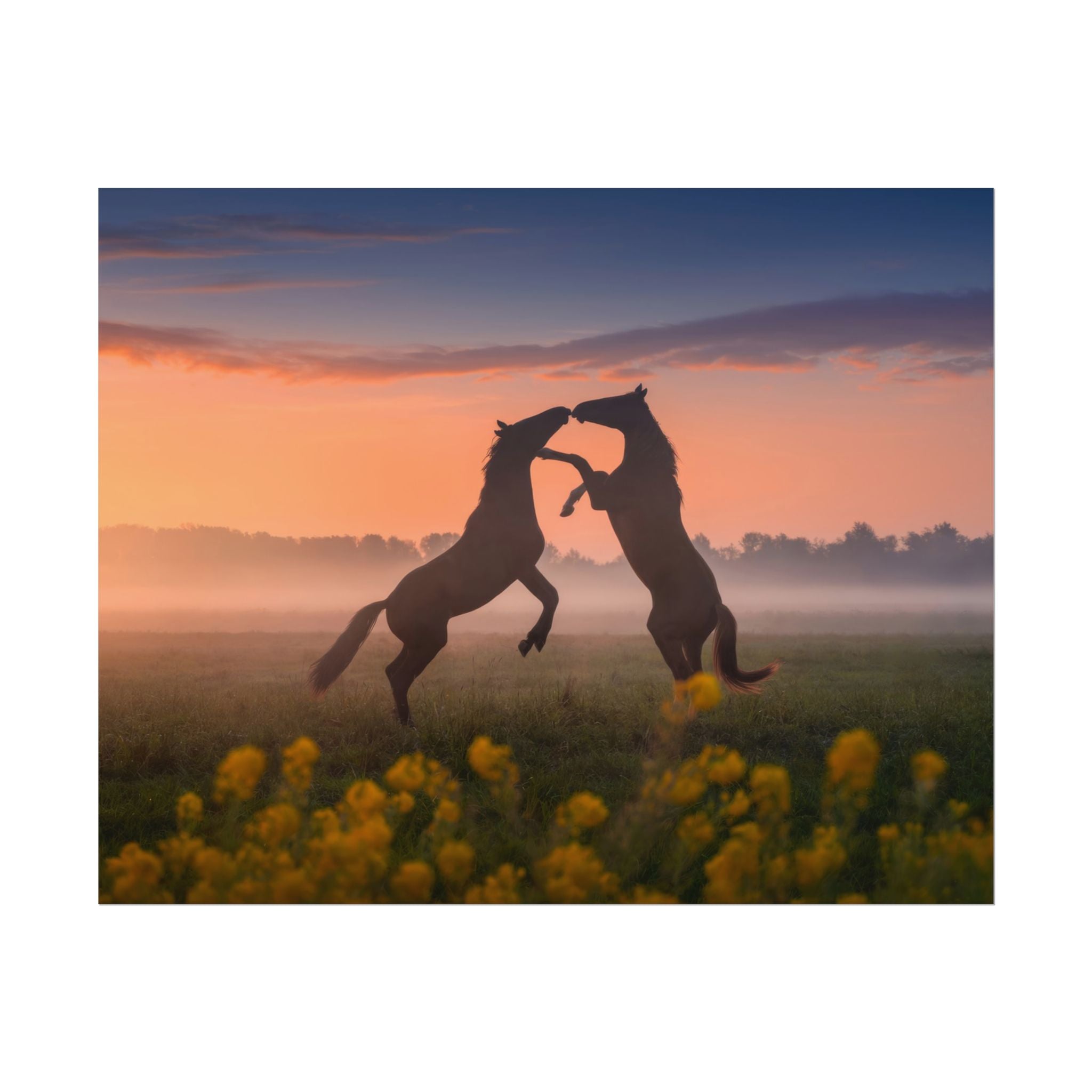 Wild Rising Horses Poster Print, Field of Flowers Decor, Home Decor, Farmhouse Wall Decor, Nature Wall Art, Horse Canvas Print, Mustang