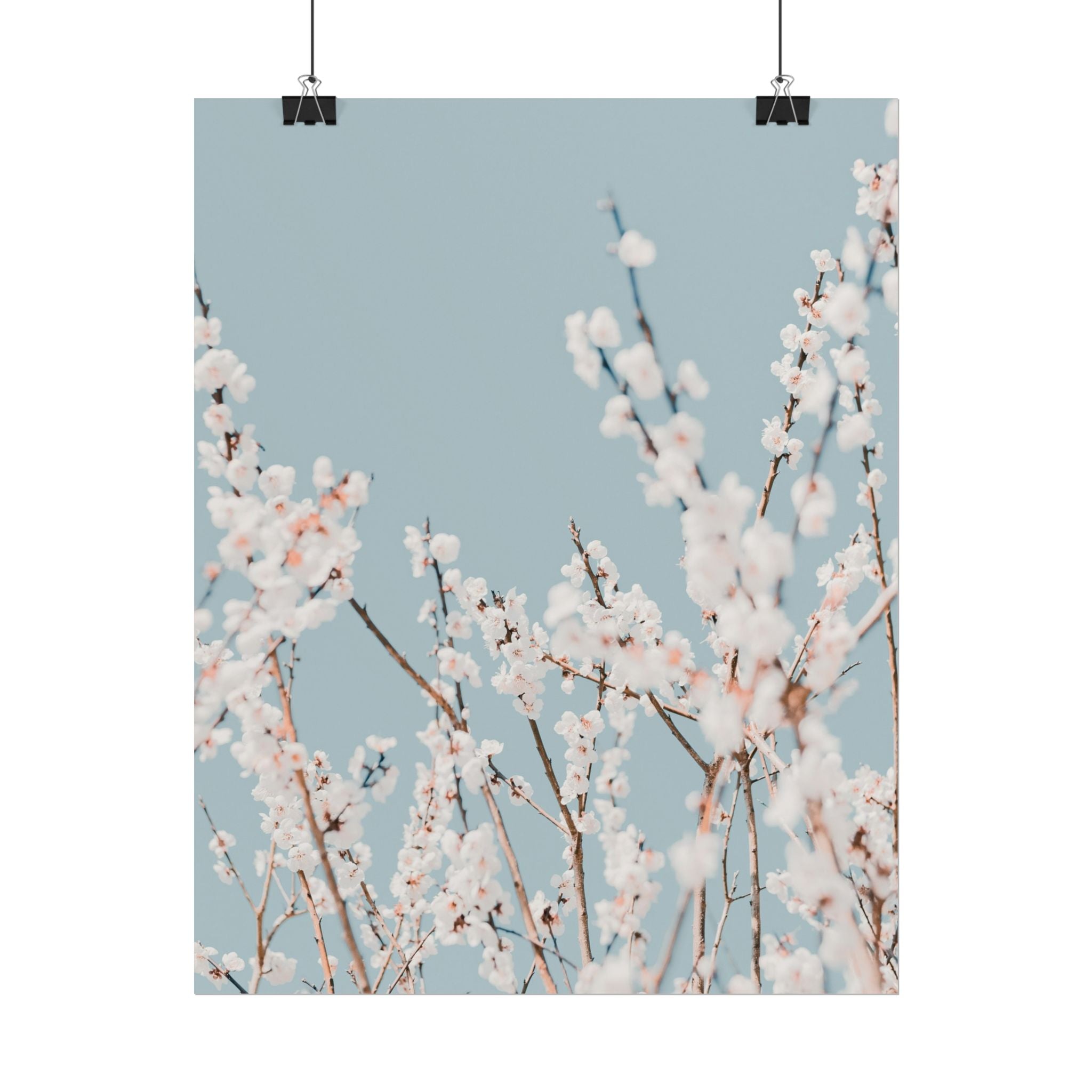 blossom-flowers-poster-print-minimalist-aesthetic-wall-art-fine-art-paper-home-decor-floral-decor-elegant-artwork