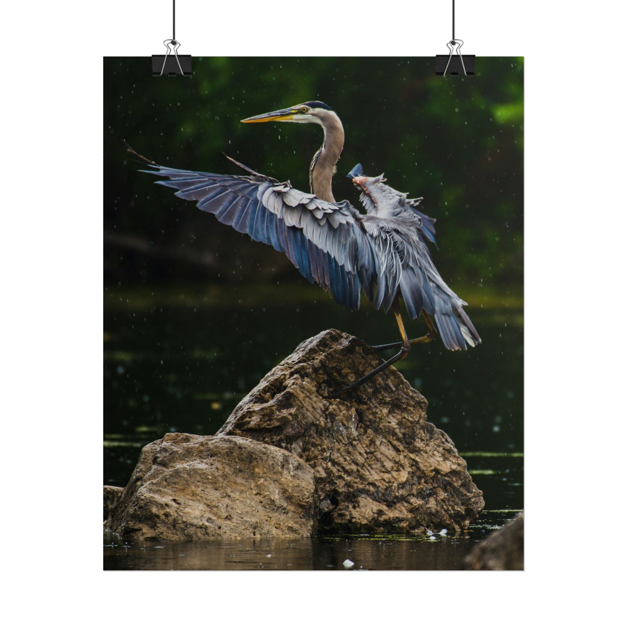 great-blue-heron-poster-wall-art-home-decor-bird-lover-gift-nature-wall-hanging-wildlife-poster