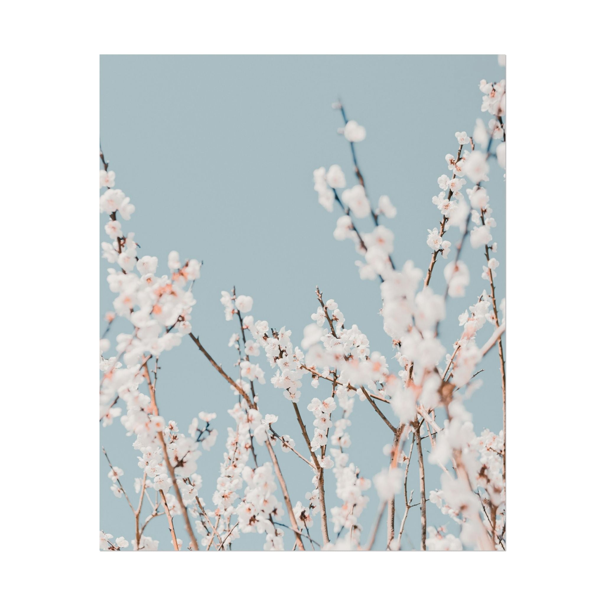 blossom-flowers-poster-print-minimalist-aesthetic-wall-art-fine-art-paper-home-decor-floral-decor-elegant-artwork