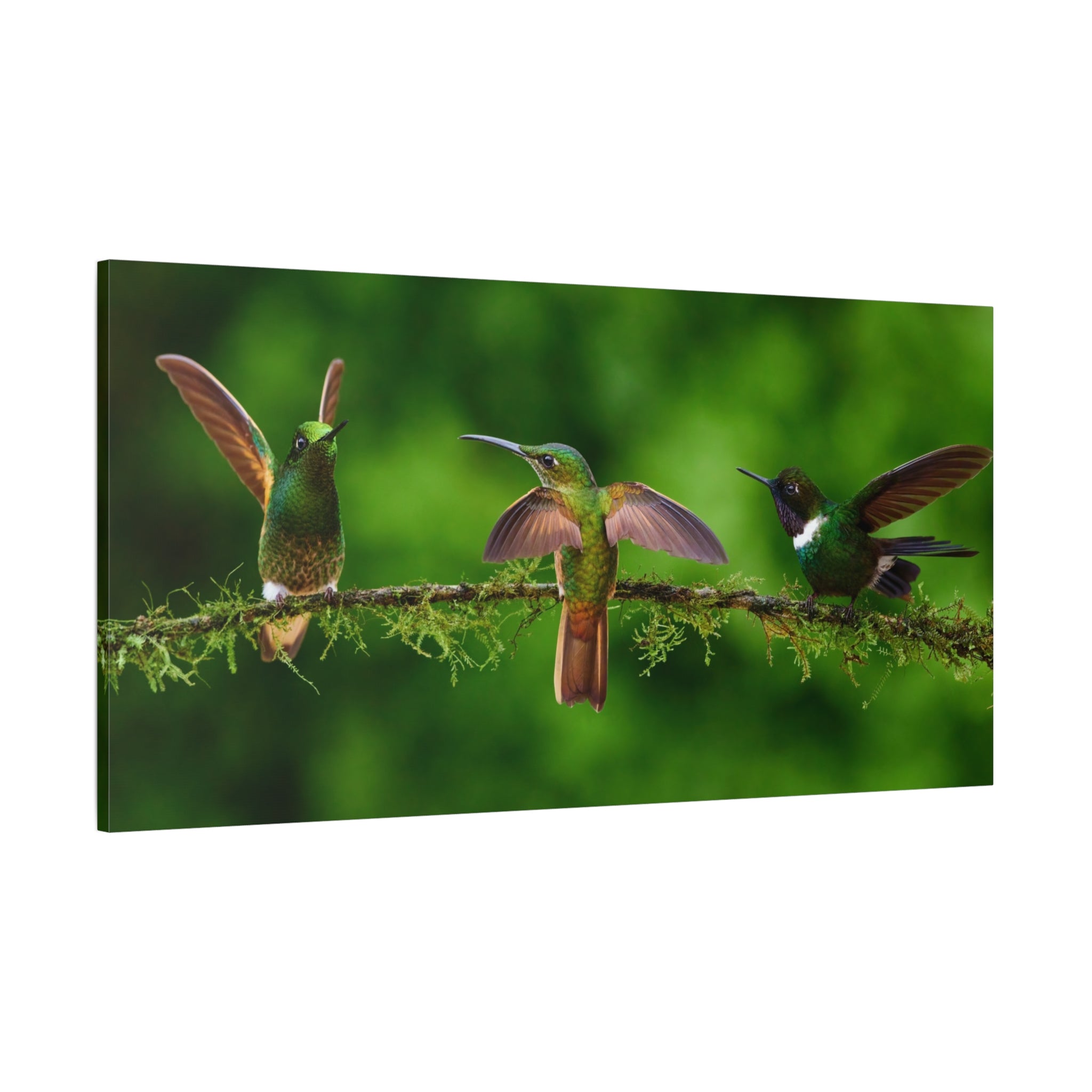 canvas-print-hummingbirds-canvas-wall-art-matte-canvas-stretched-home-decor-wall-decor-nature-art-gift-for-bird-lovers-panora