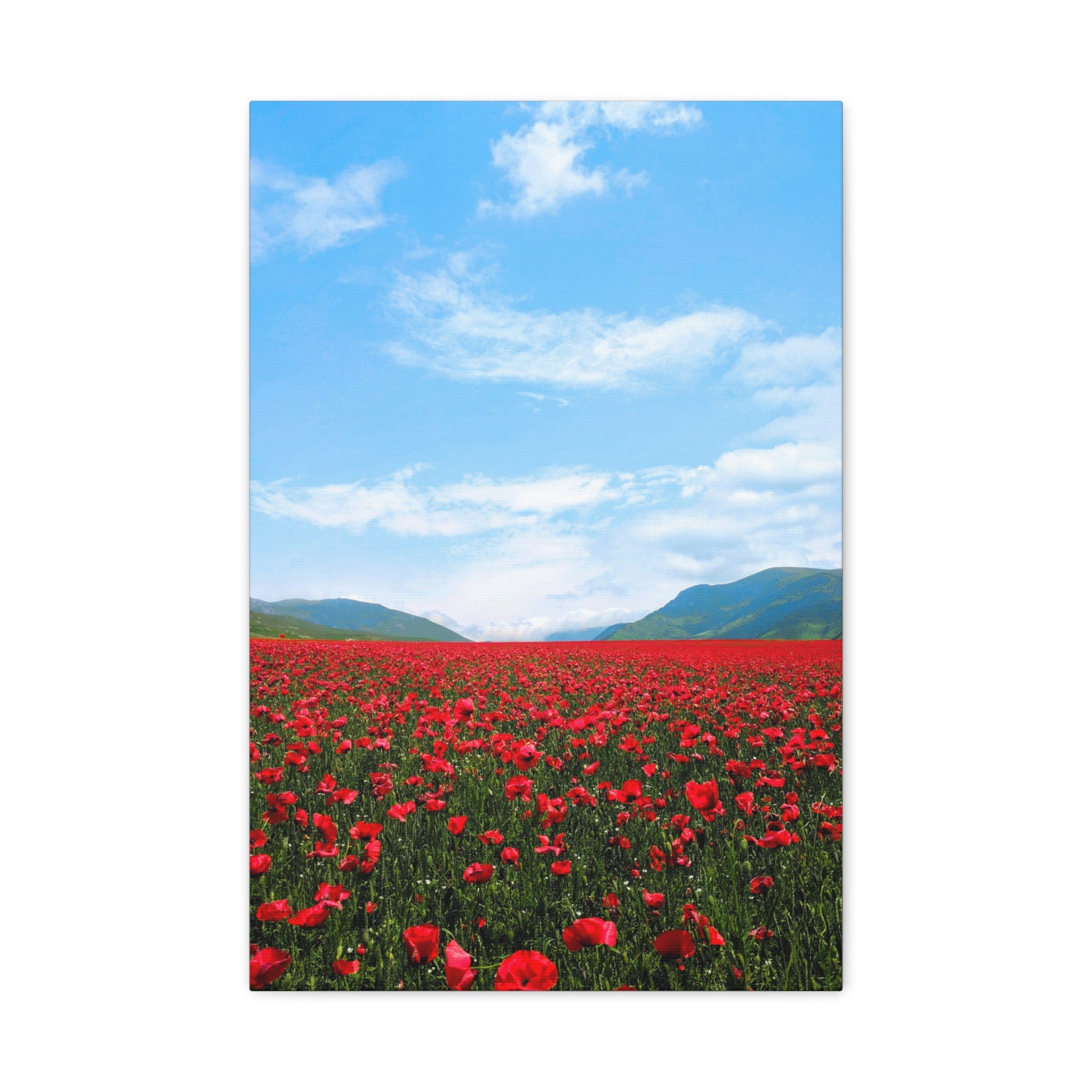canvas-wall-art-red-poppy-flower-print-spring-floral-decor-matte-stretched-1-25-inch-home-office-decoration