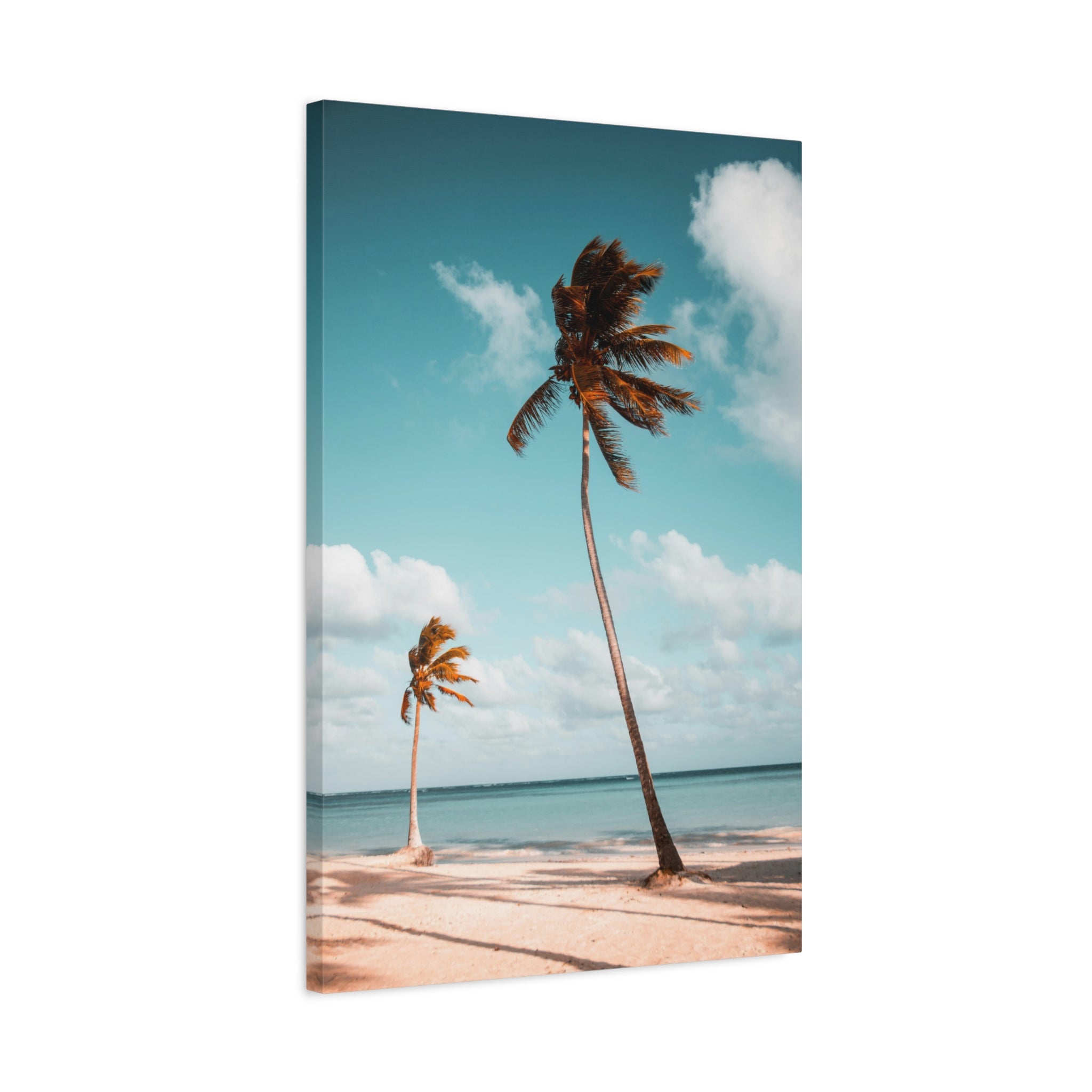 palm-tree-canvas-print-palm-tree-decor-wall-art-print-home-decor-palm-tree-fine-art-palm-tree-art-gallery-stretched-canvas-pr