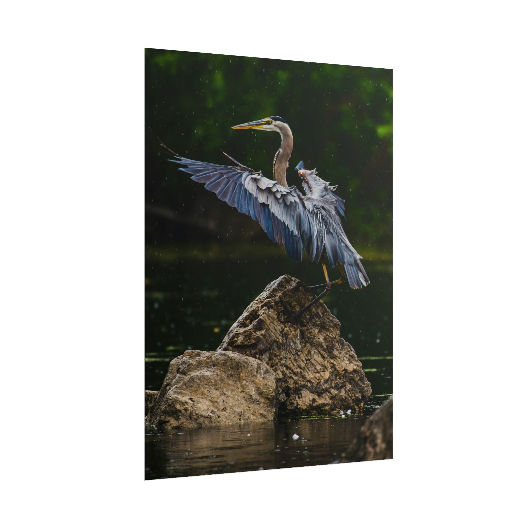 great-blue-heron-poster-wall-art-home-decor-bird-lover-gift-nature-wall-hanging-wildlife-poster