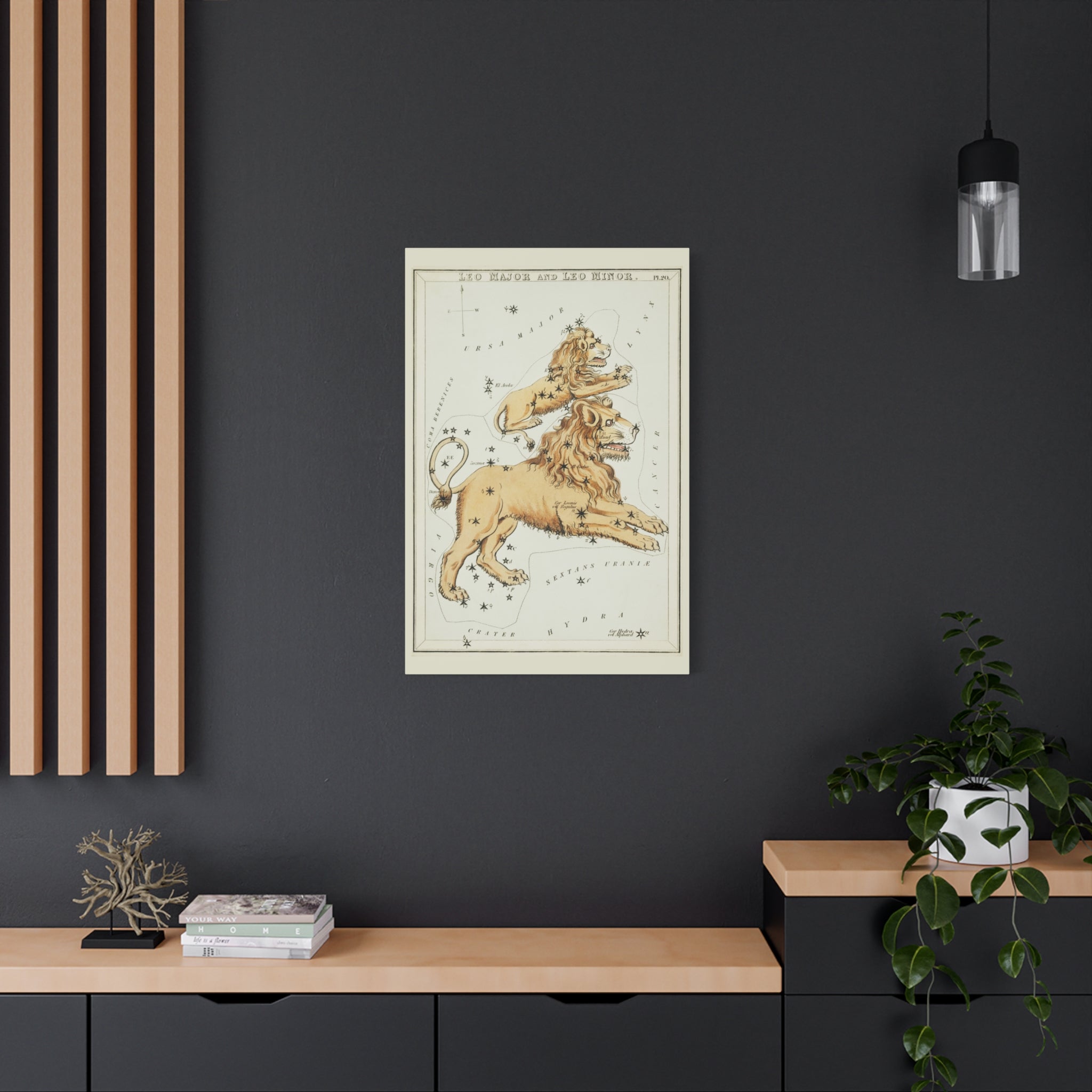 canvas-print-star-map-leo-major-leo-minor-celestial-gift-vintage-map-celestial-map-wall-art-decor-astronomy-decor-constellati