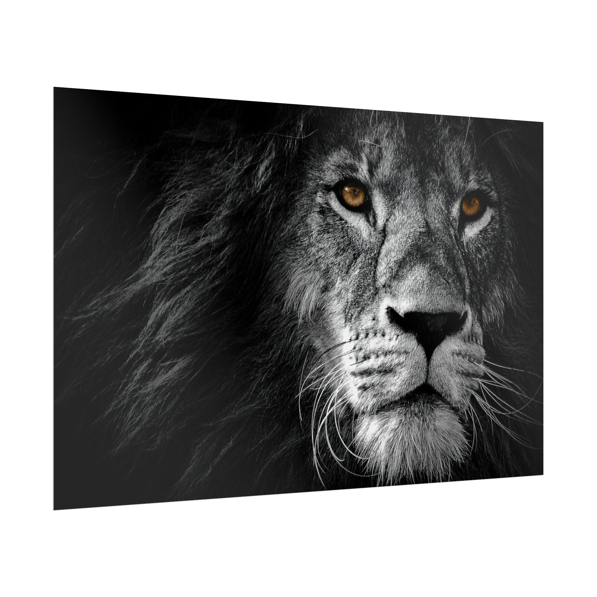 poster-print-lion-wall-art-black-and-white-monochrome-decor-living-room-decor-lion-poster-jungle-animal-art-print-wildlife-sa