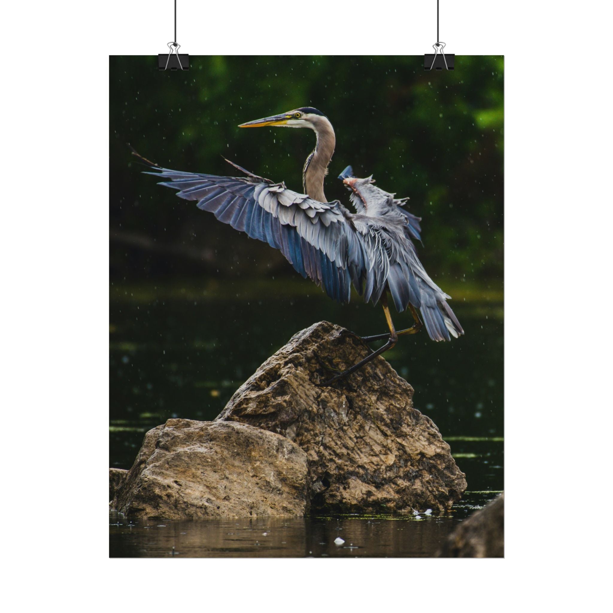 great-blue-heron-poster-wall-art-home-decor-bird-lover-gift-nature-wall-hanging-wildlife-poster