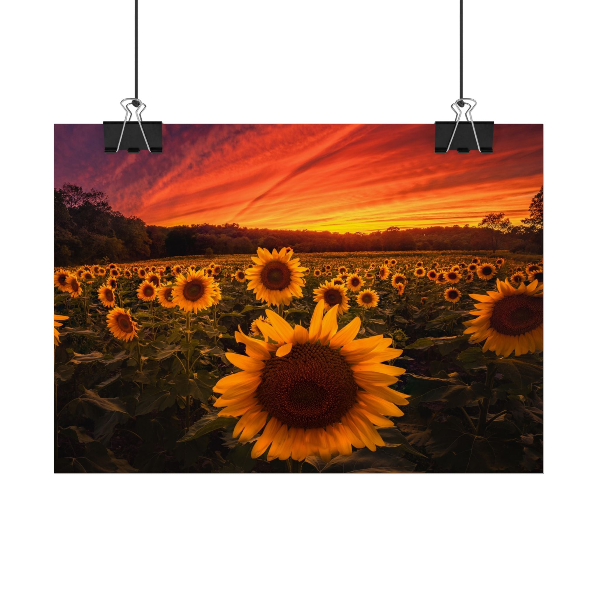 sun-flower-poster-print-sunset-wall-art-decor-home-decor-nature-art-floral-print-gift-for-nature-lovers-farmhouse-wall-decor