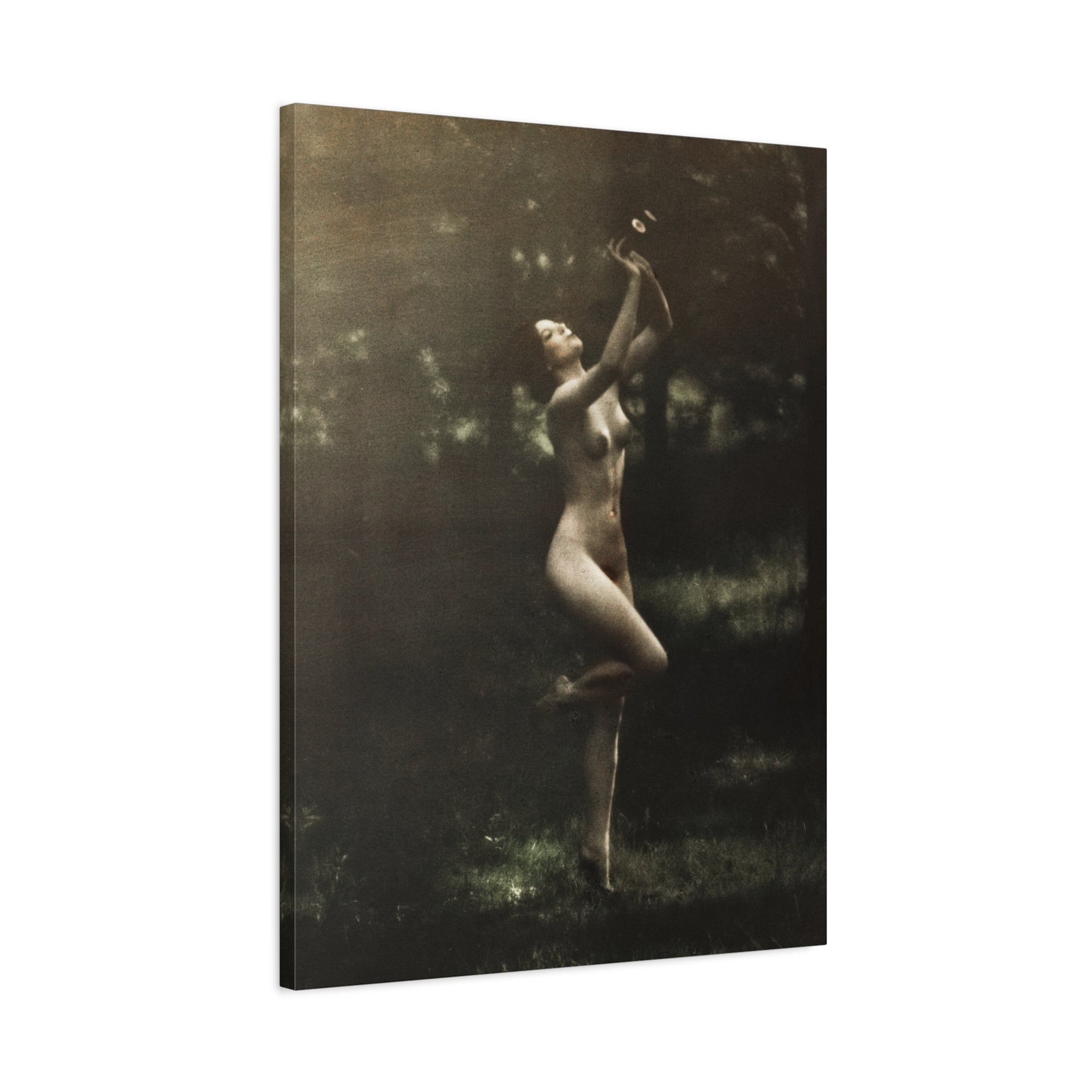 canvas-print-nude-dancer-by-arnold-genthe-nude-photography-nude-art-wall-decor-stretched-canvas-art-print-nature-photography
