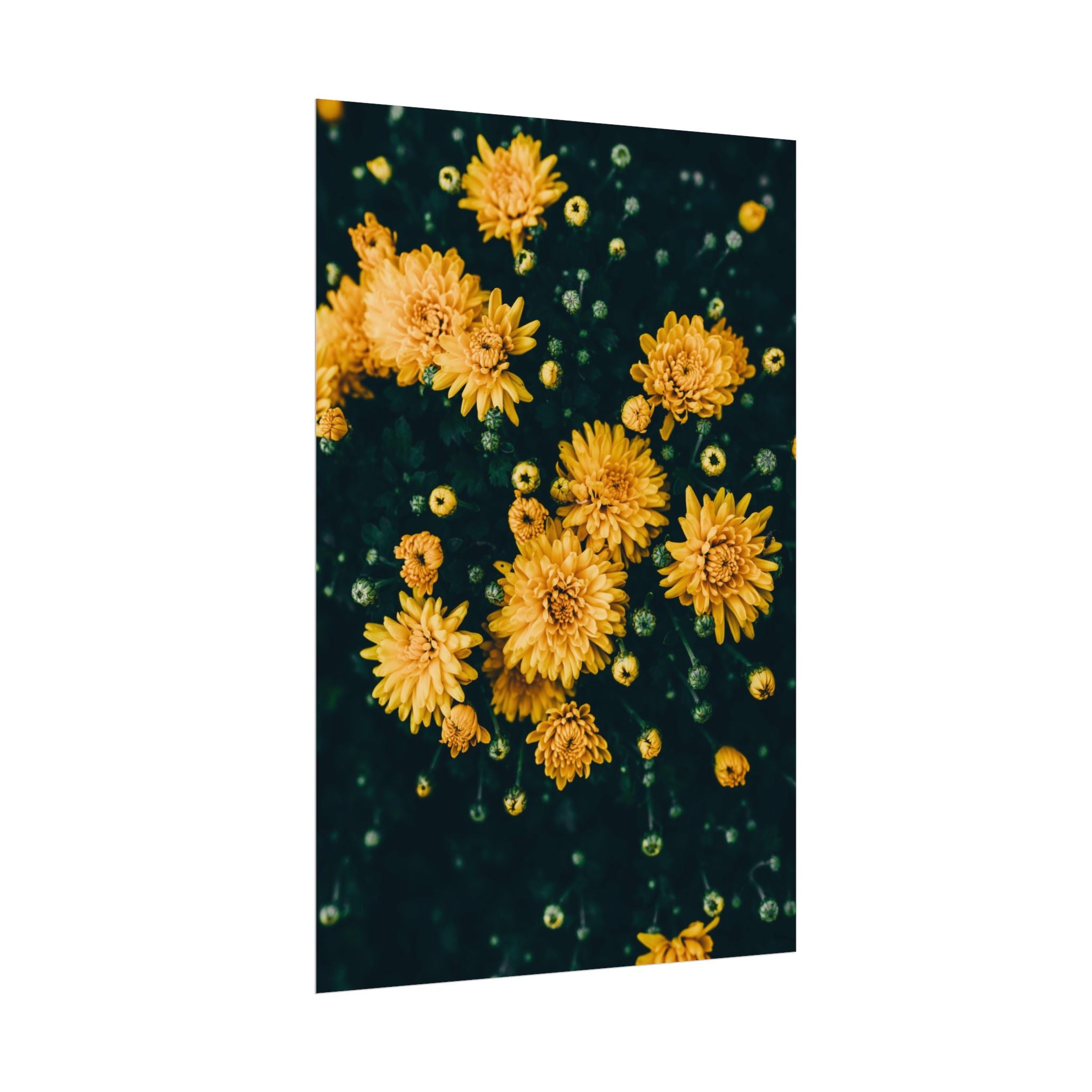 yellow-flower-art-poster-print-floral-wall-decor-floral-home-decor-gift-dark-botanical-art-print