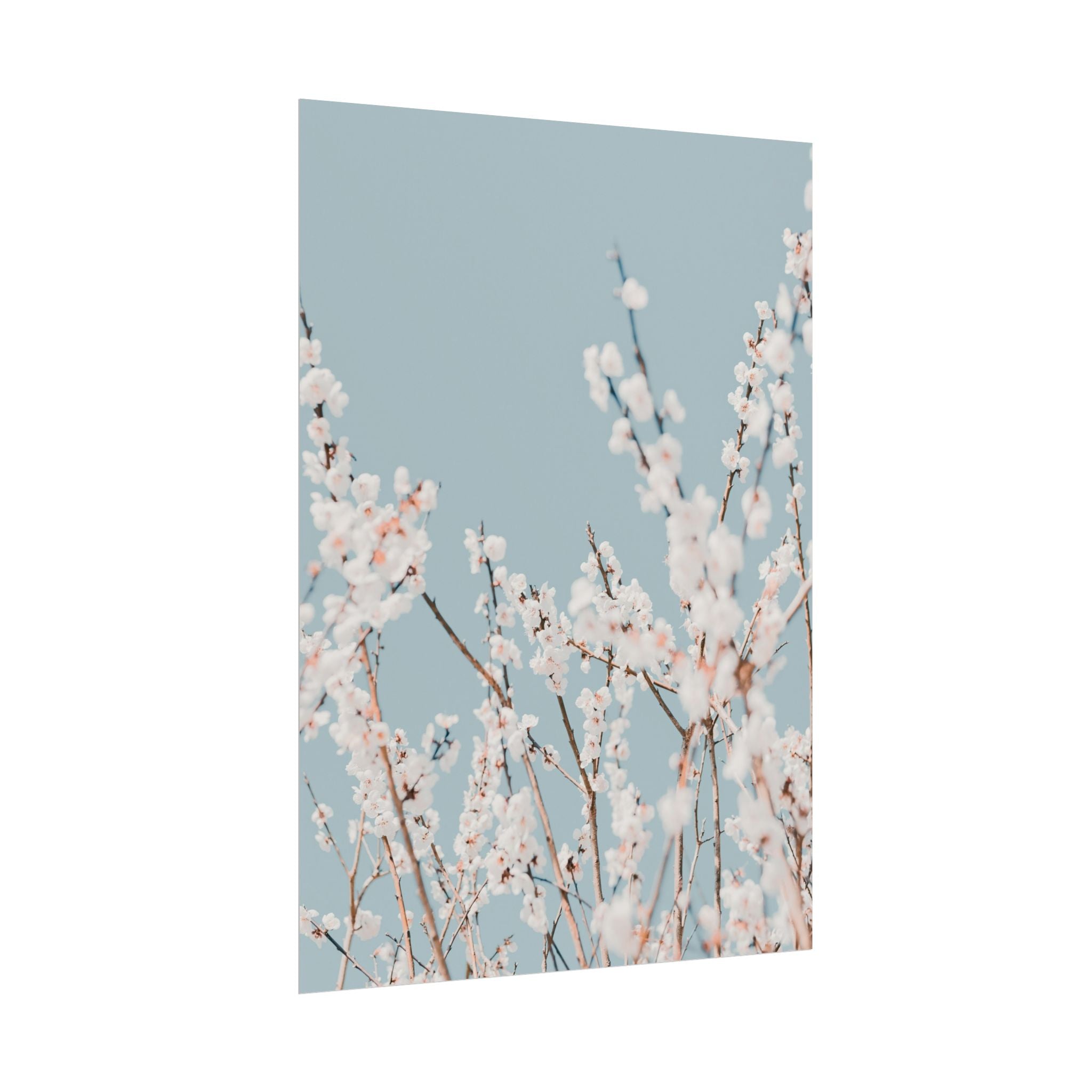 blossom-flowers-poster-print-minimalist-aesthetic-wall-art-fine-art-paper-home-decor-floral-decor-elegant-artwork