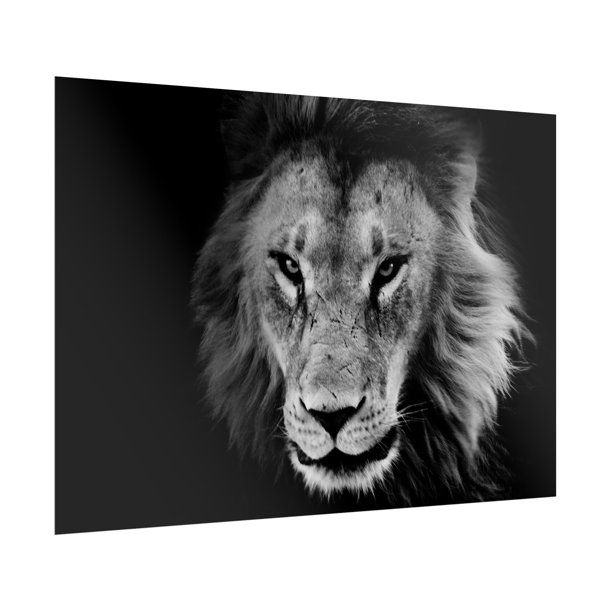 poster-print-lion-wall-art-black-and-white-living-room-decor-monochrome-art-lion-poster-jungle-animal-art-print-wildlife-safa