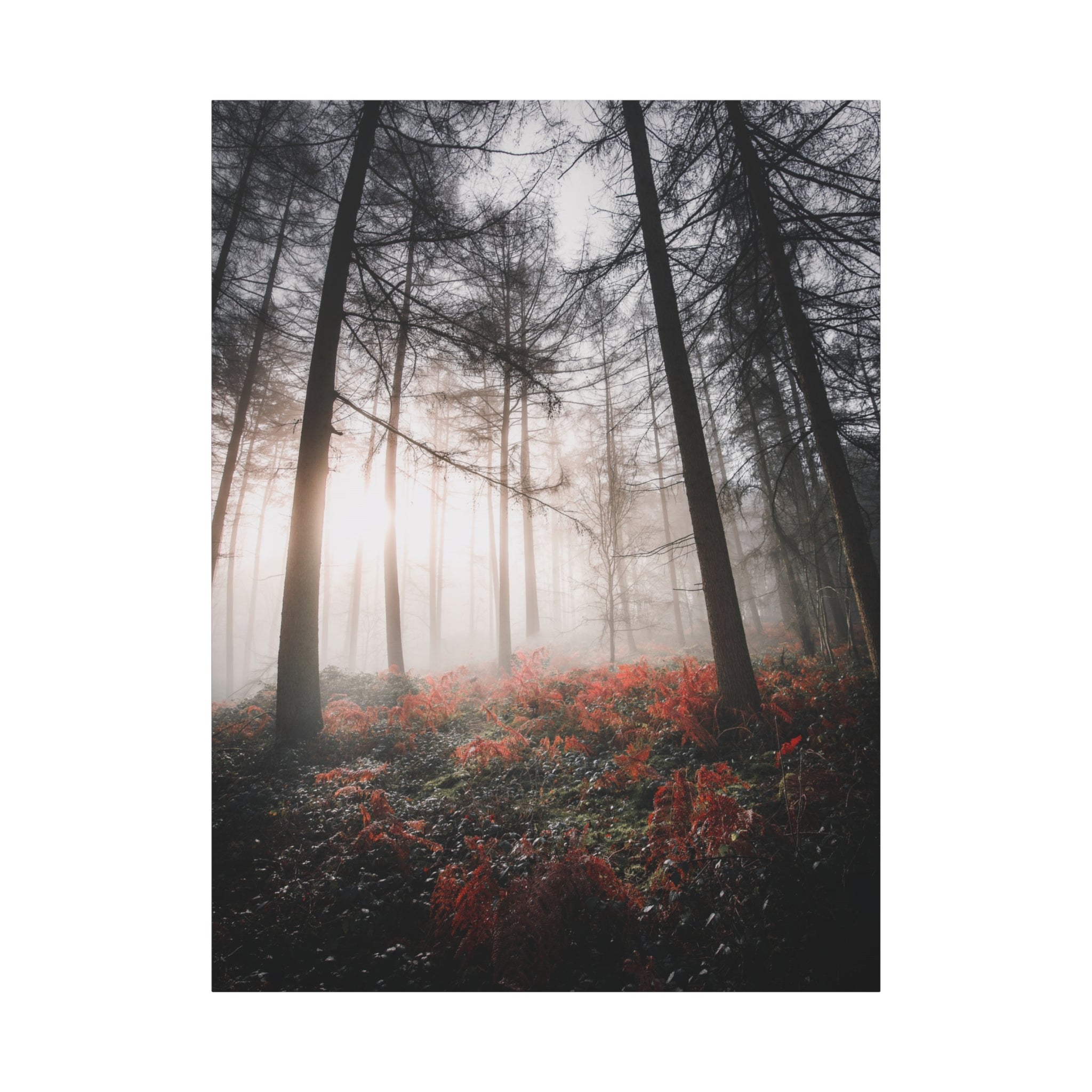 canvas-print-misty-woods-art-living-room-wall-decor-sunlight-forest-landscape-aesthetic-nature-art-stretched-artwork-matte-ca