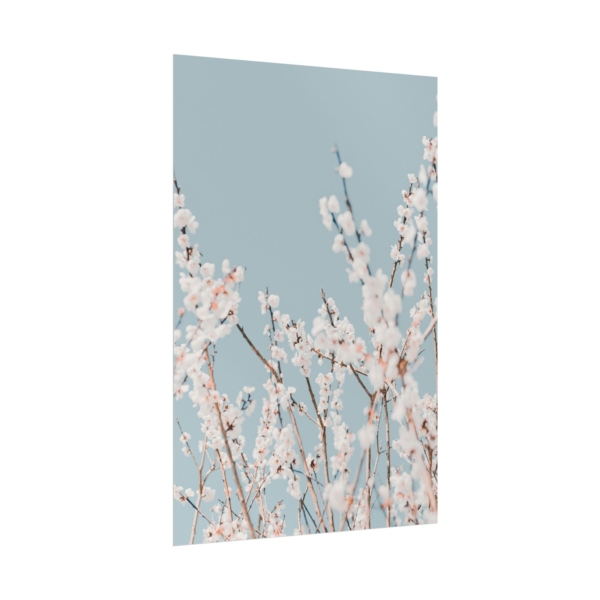 blossom-flowers-poster-print-minimalist-aesthetic-wall-art-fine-art-paper-home-decor-floral-decor-elegant-artwork