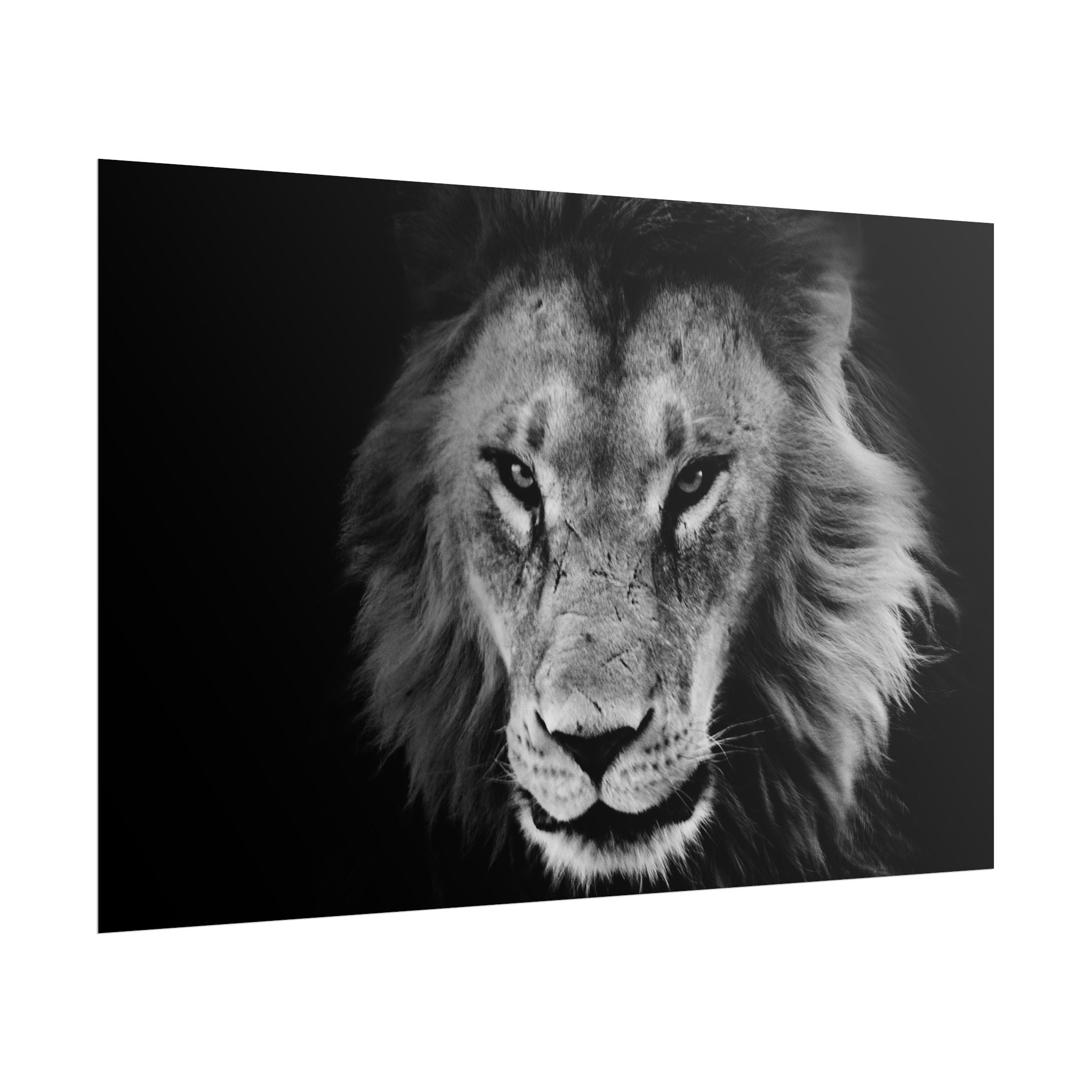 poster-print-lion-wall-art-black-and-white-living-room-decor-monochrome-art-lion-poster-jungle-animal-art-print-wildlife-safa
