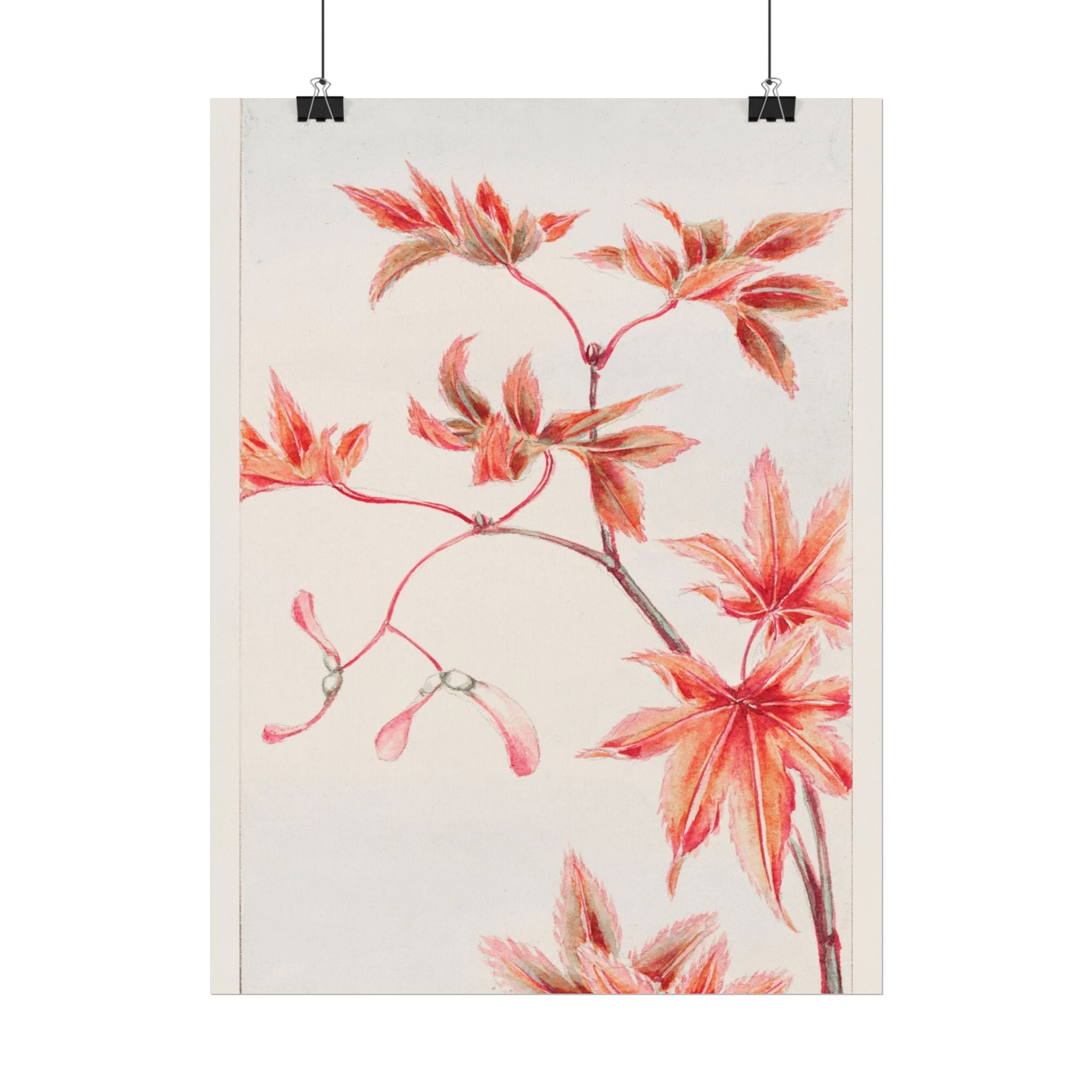 poster-print-branch-of-momiji-maple-tree-with-leaves-floral-wall-art-rolled-posters-wall-decor-room-decoration-nature-art-bot