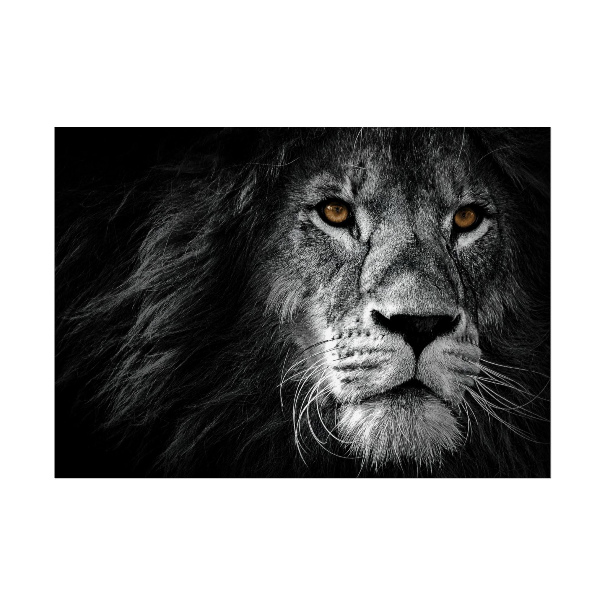 poster-print-lion-wall-art-black-and-white-monochrome-decor-living-room-decor-lion-poster-jungle-animal-art-print-wildlife-sa