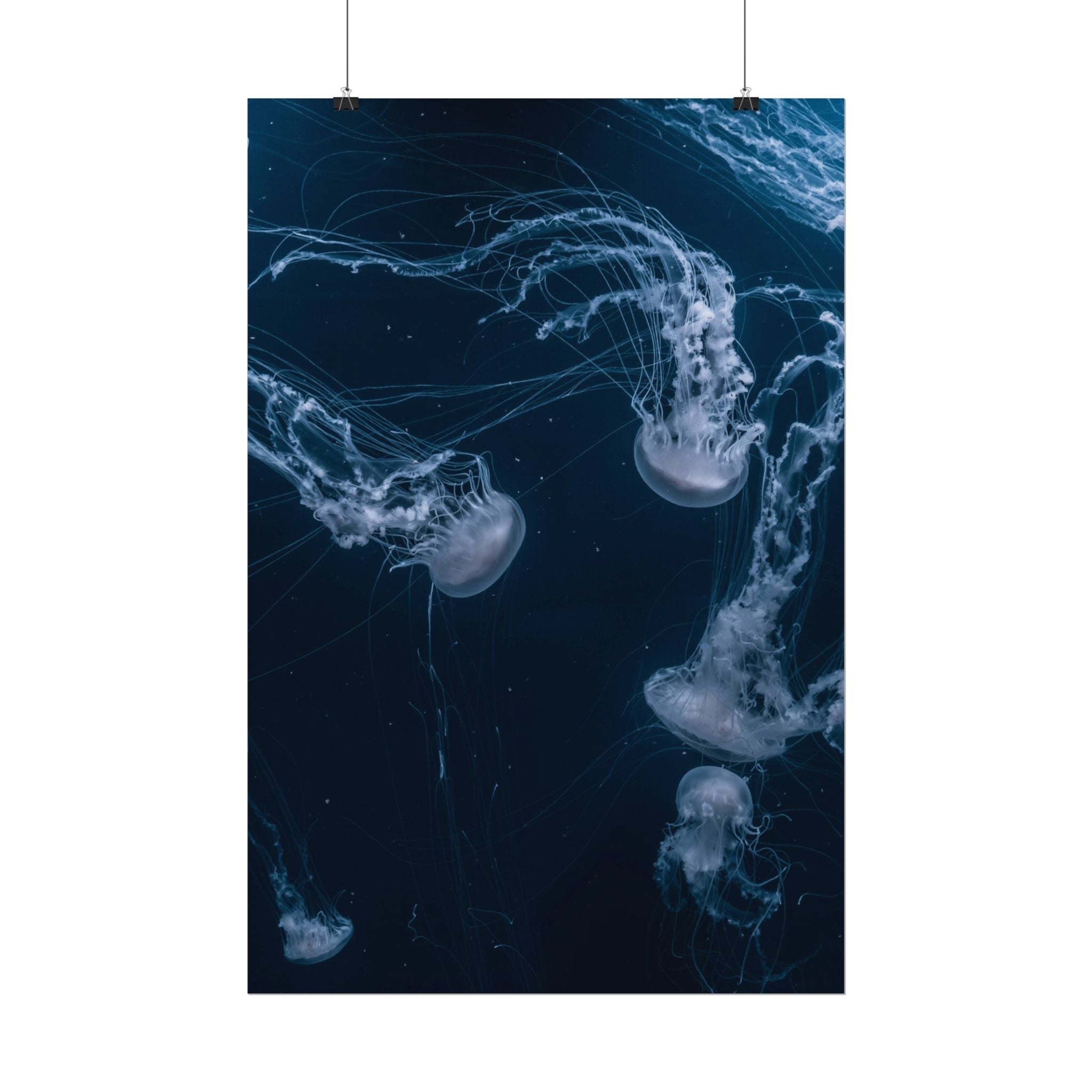 long-jellyfish-wall-art-poster-print-wall-hanging-ocean-life-deep-ocean-decor-home-decor-housewarming-gift