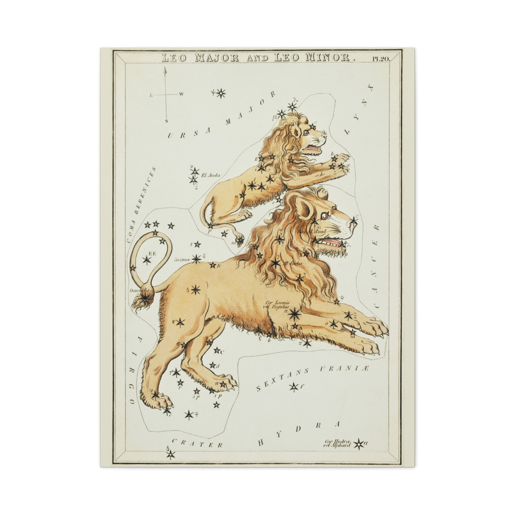 canvas-print-star-map-leo-major-leo-minor-celestial-gift-vintage-map-celestial-map-wall-art-decor-astronomy-decor-constellati