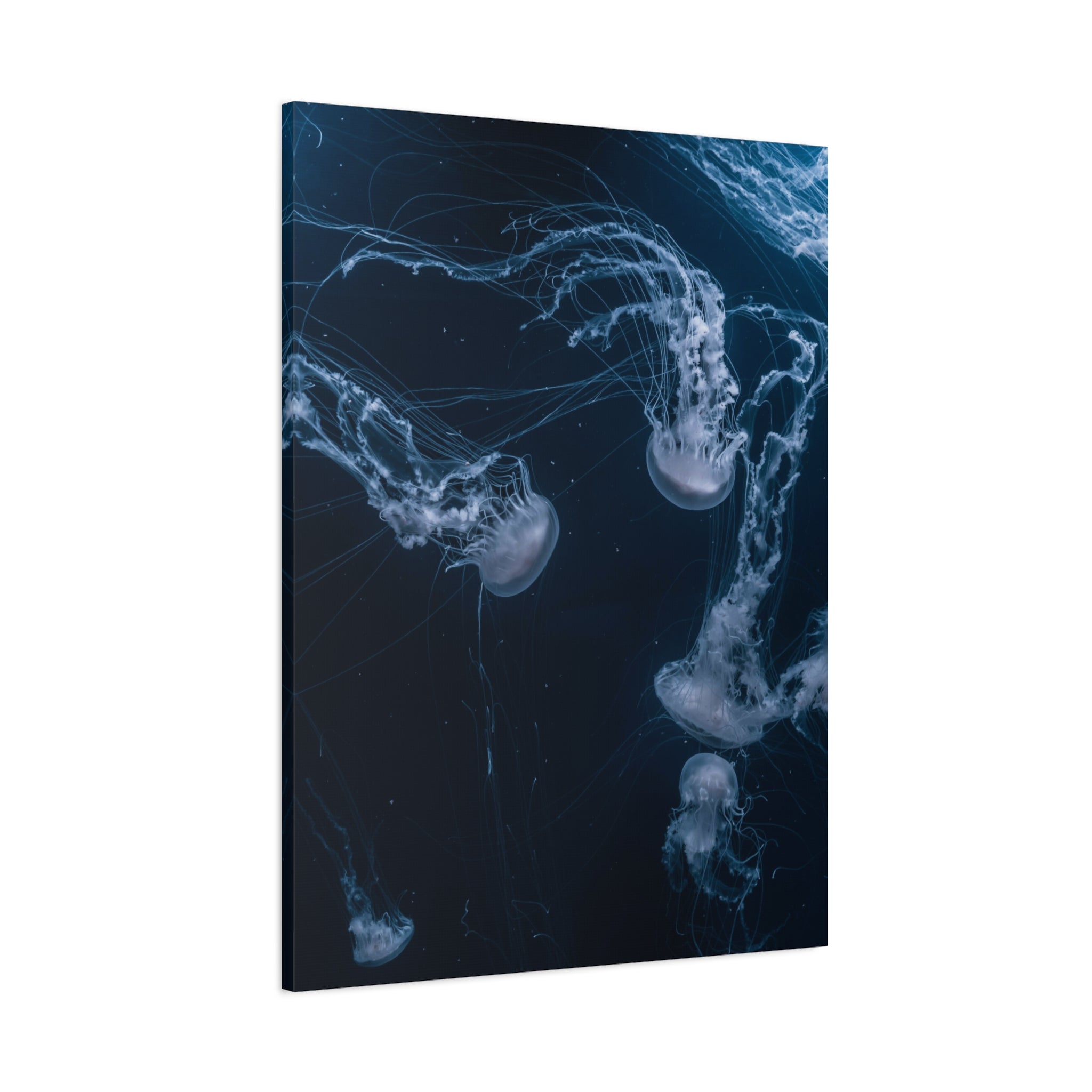 canvas-print-jellyfish-wall-art-wall-hanging-matte-canvas-ocean-life-deep-ocean-decor-home-decor-housewarming-gift