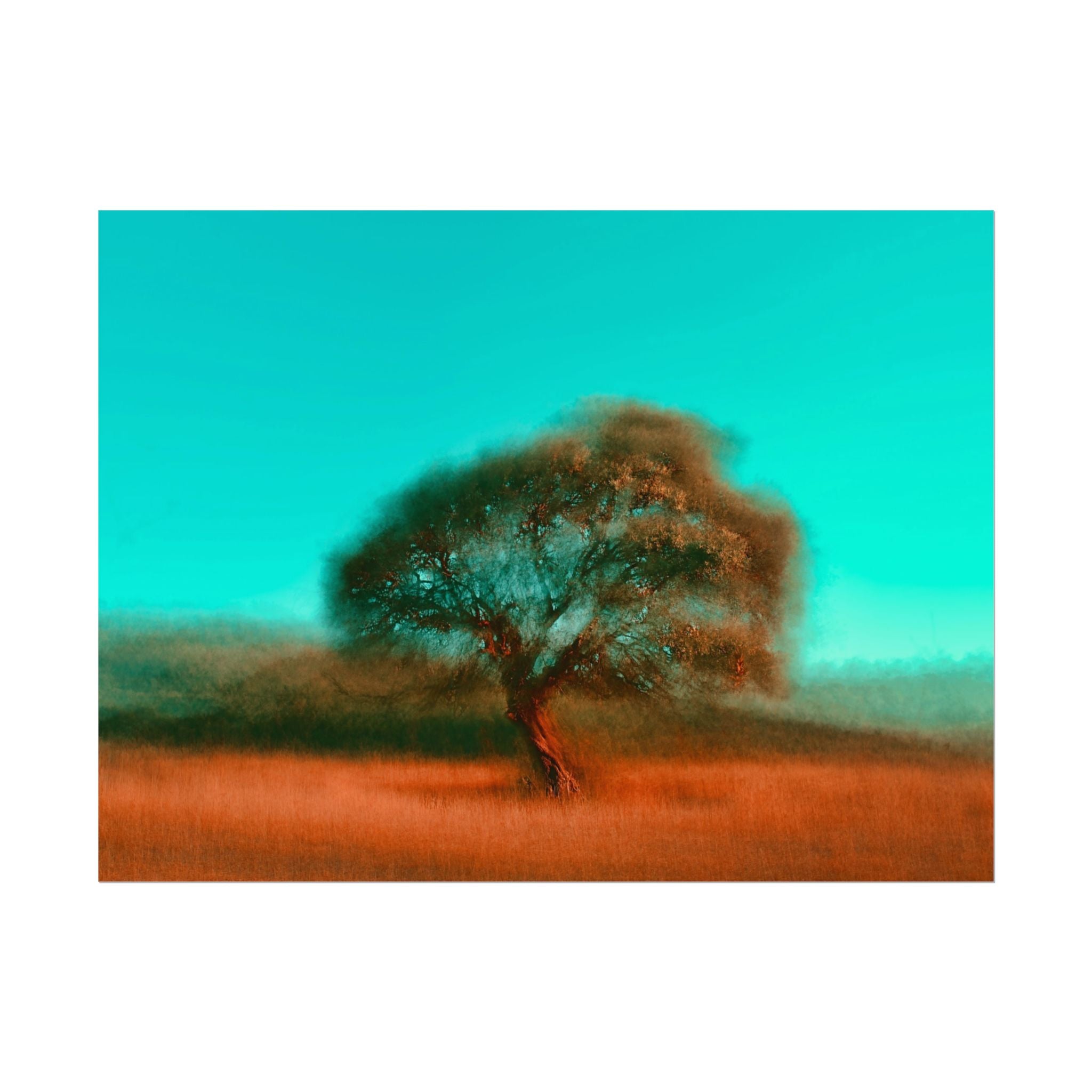 tree-photography-poster-print-rustic-nature-wall-decor-fine-art-paper-print-gift-for-nature-lover-home-office-decor-wall-art-