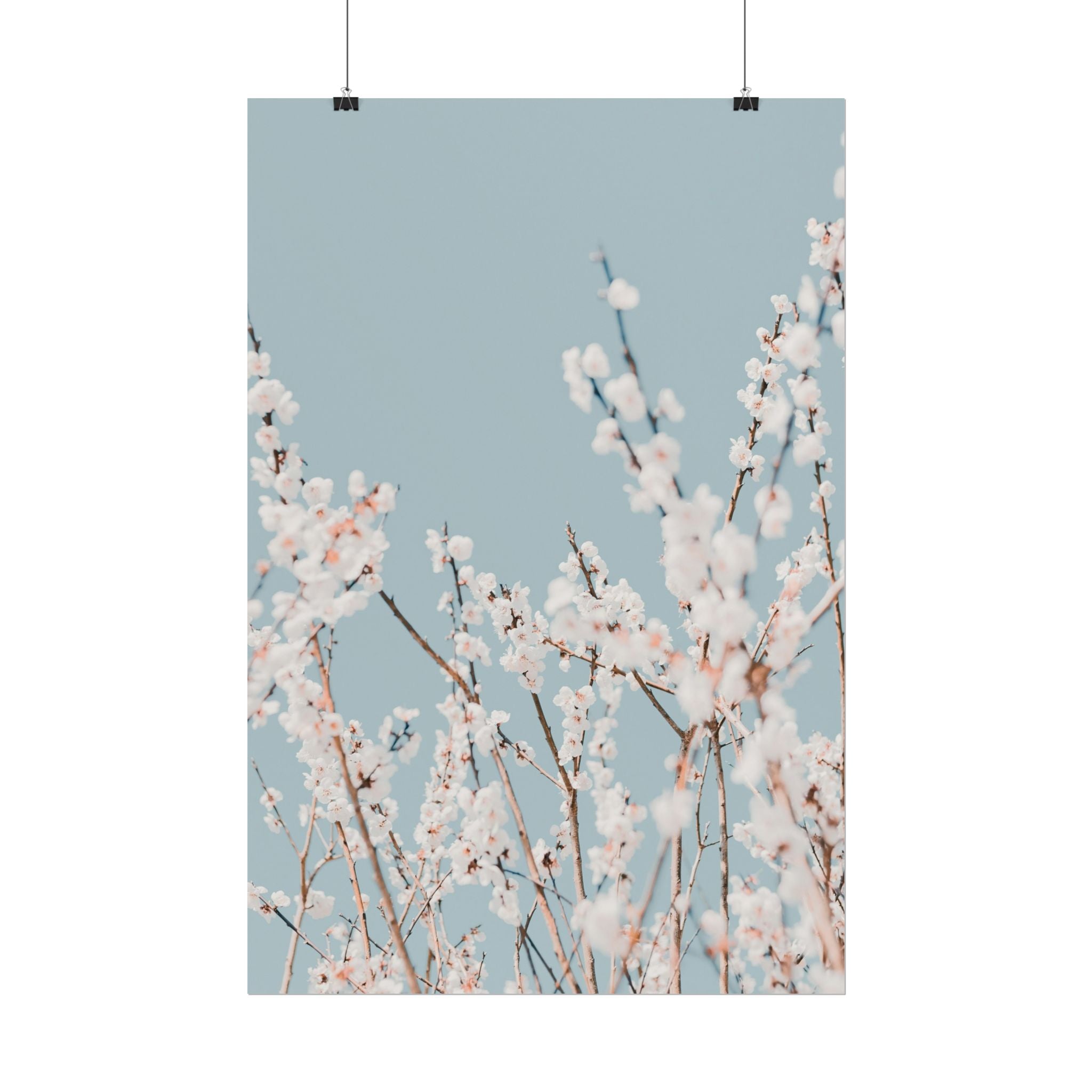 blossom-flowers-poster-print-minimalist-aesthetic-wall-art-fine-art-paper-home-decor-floral-decor-elegant-artwork