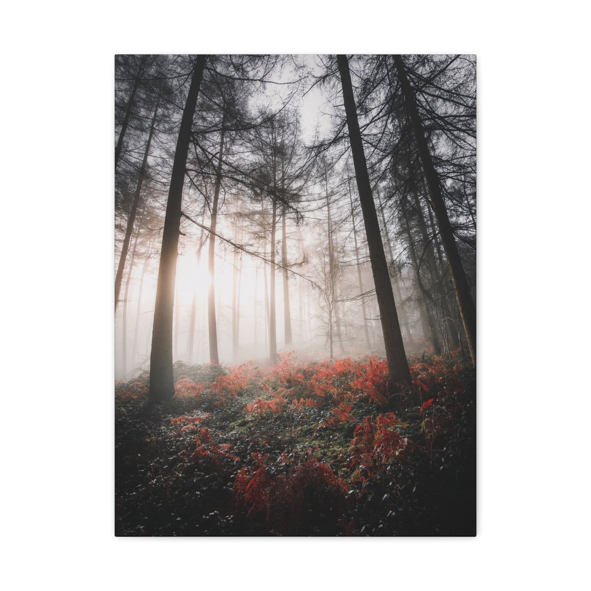 canvas-print-misty-woods-art-living-room-wall-decor-sunlight-forest-landscape-aesthetic-nature-art-stretched-artwork-matte-ca